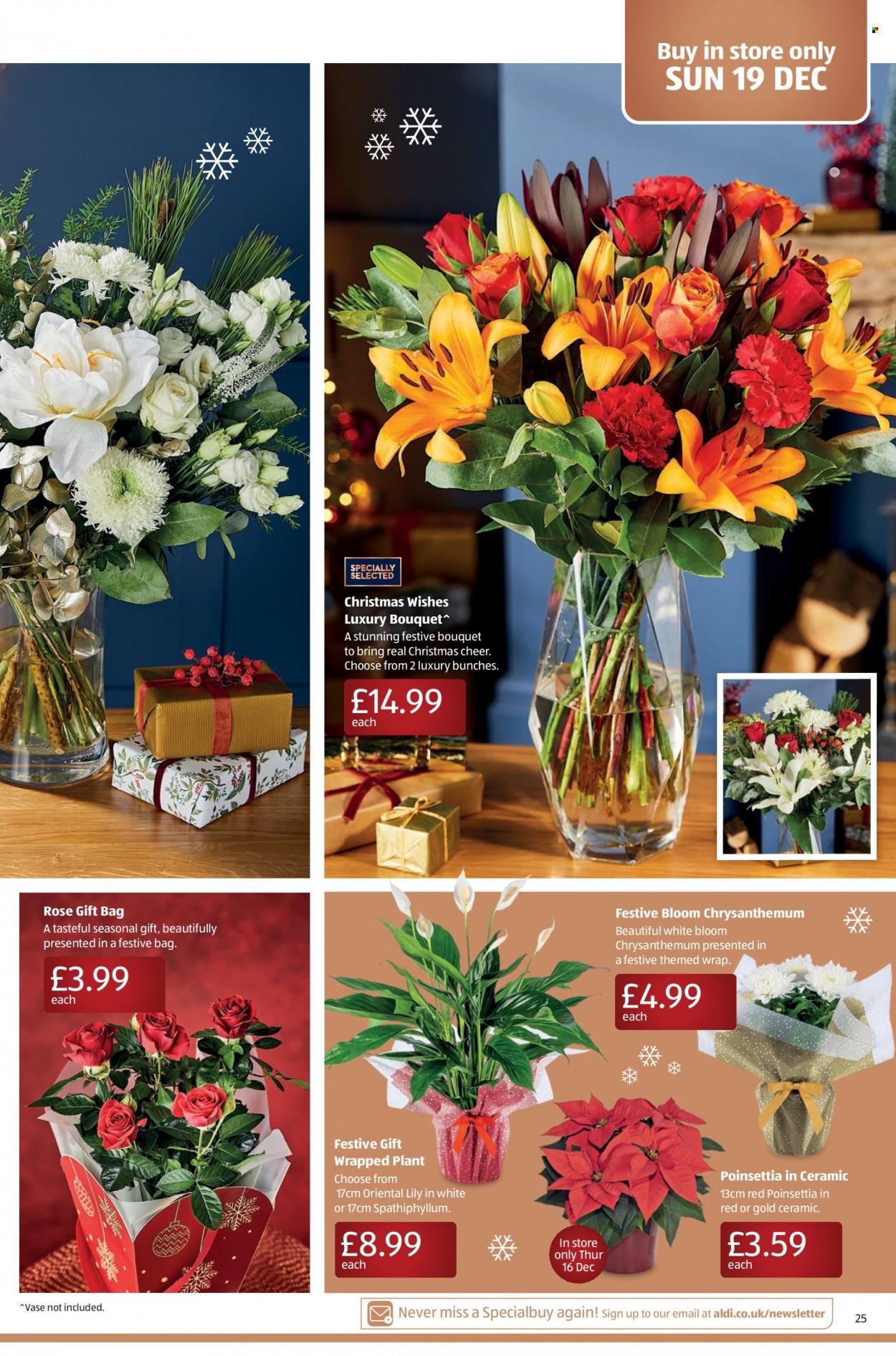Aldi offer - 12/12/2021 - 19/12/2021. Page 25
