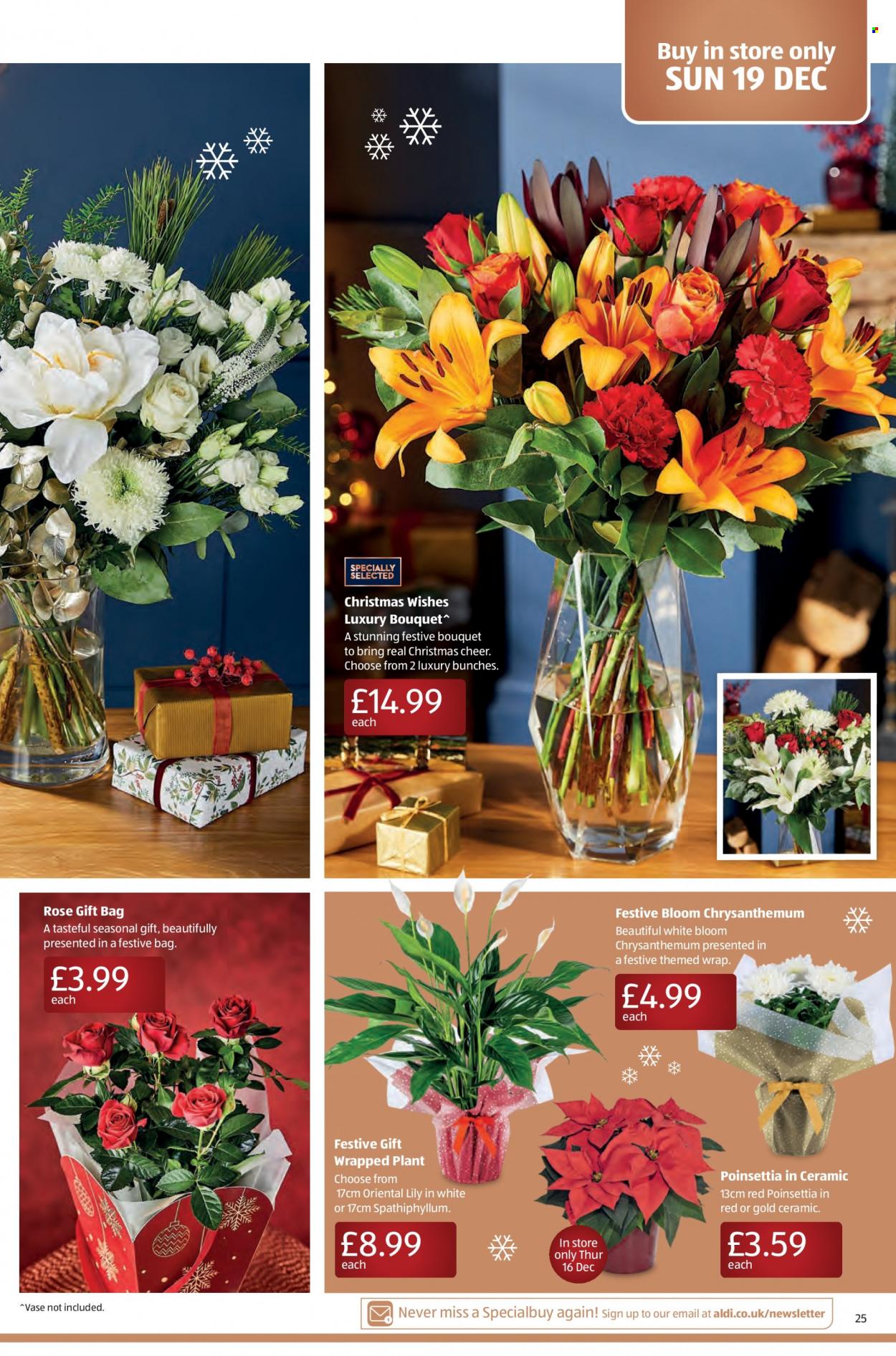 Aldi offer - 12/12/2021 - 19/12/2021. Page 25