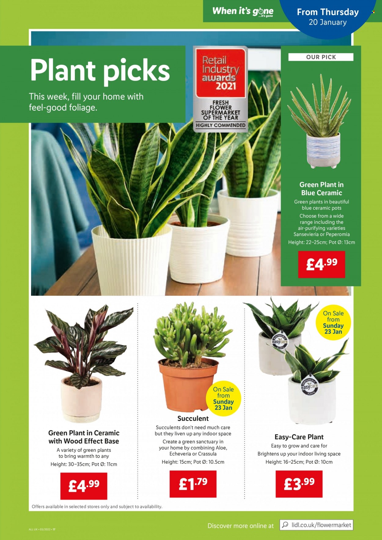 Lidl offer - 20/01/2022 - 26/01/2022. Page 15