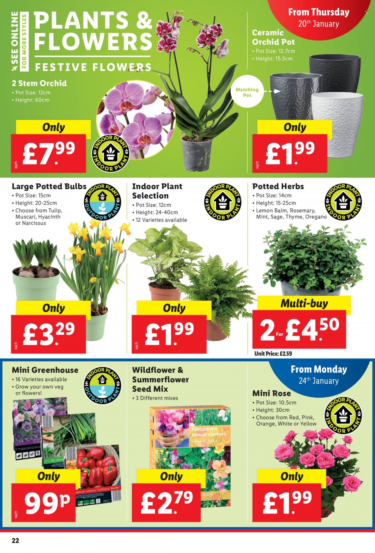 Lidl offer - 20/01/2022 - 26/01/2022. Page 22