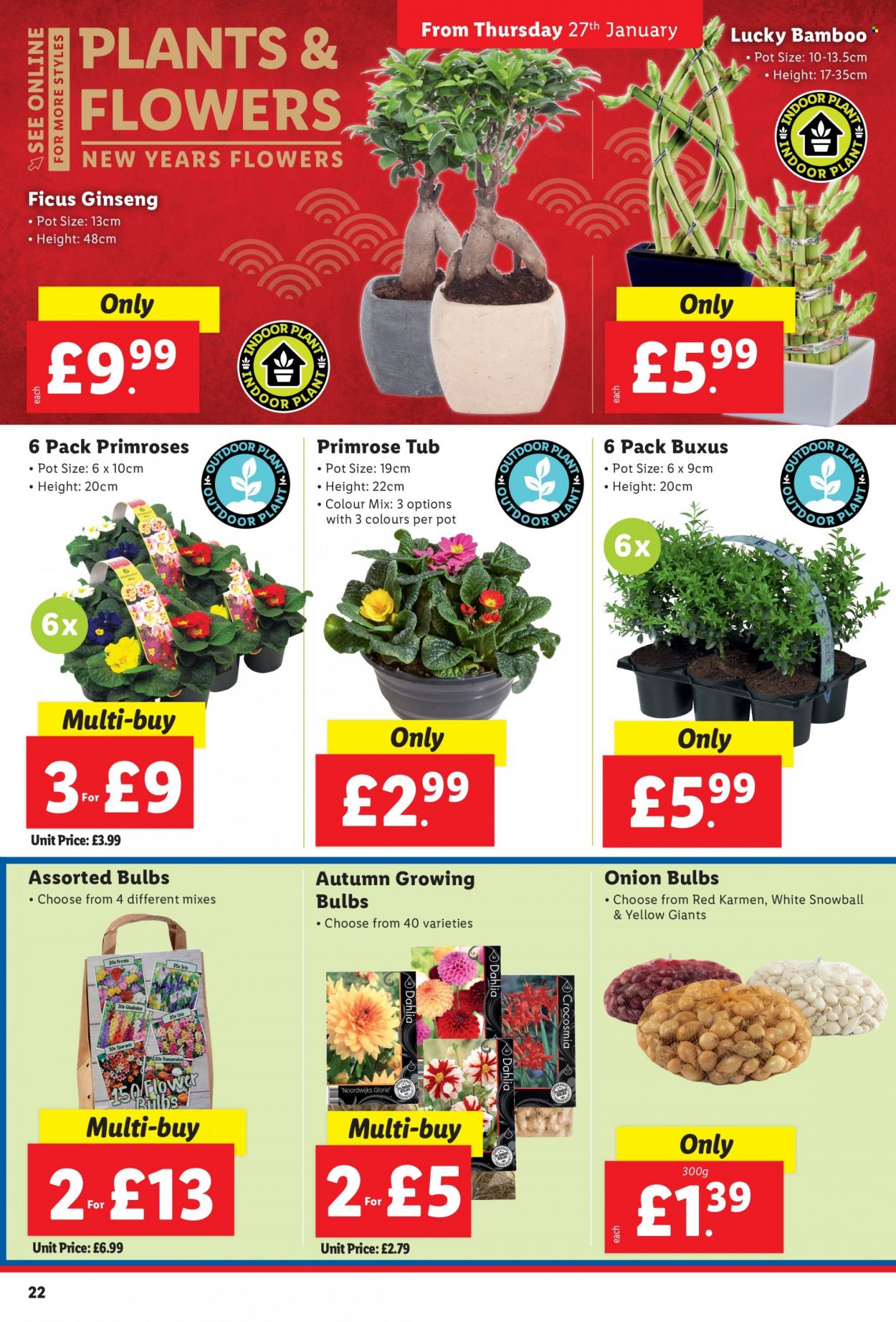 Lidl offer - 27/01/2022 - 02/02/2022. Page 22