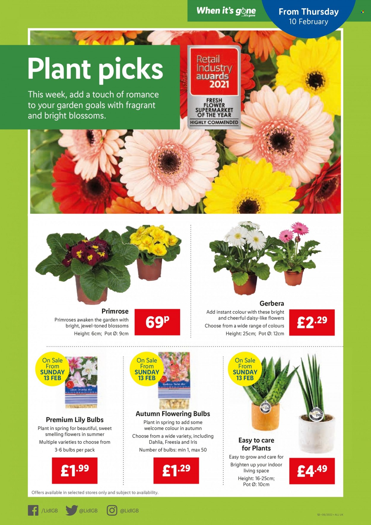 Lidl offer - 10/02/2022 - 16/02/2022. Page 12