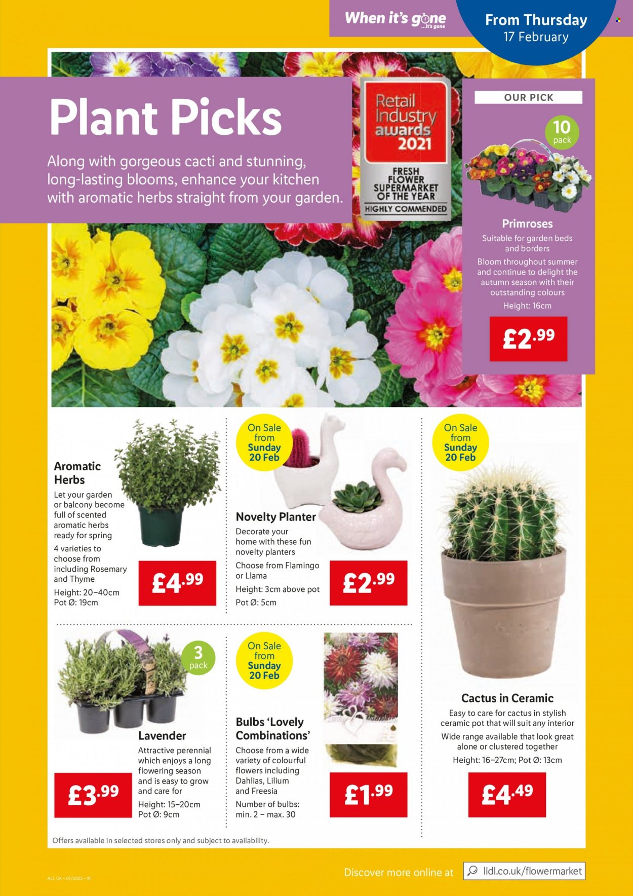 Lidl offer - 17/02/2022 - 23/02/2022. Page 11