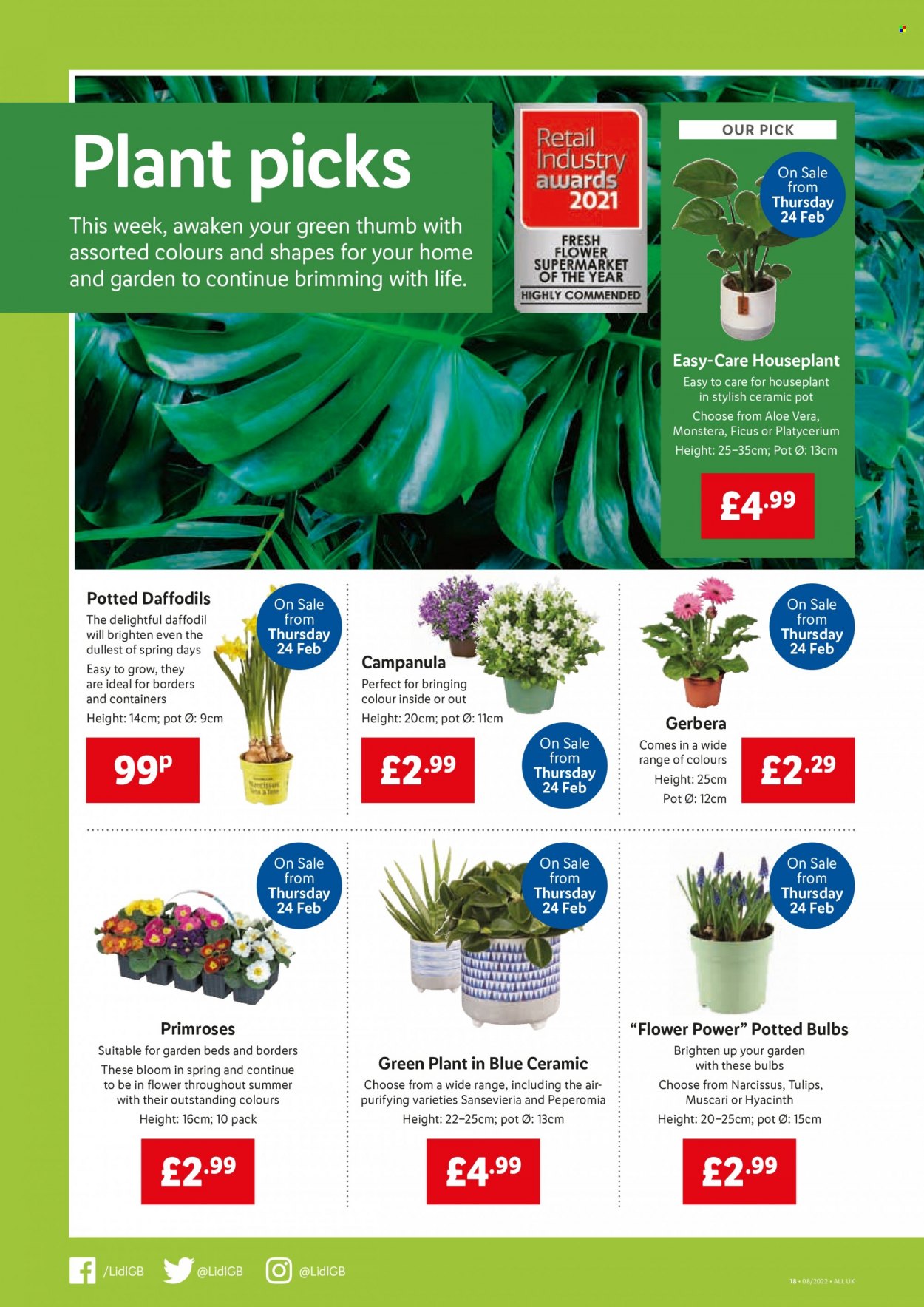 Lidl offer - 24/02/2022 - 02/03/2022. Page 16