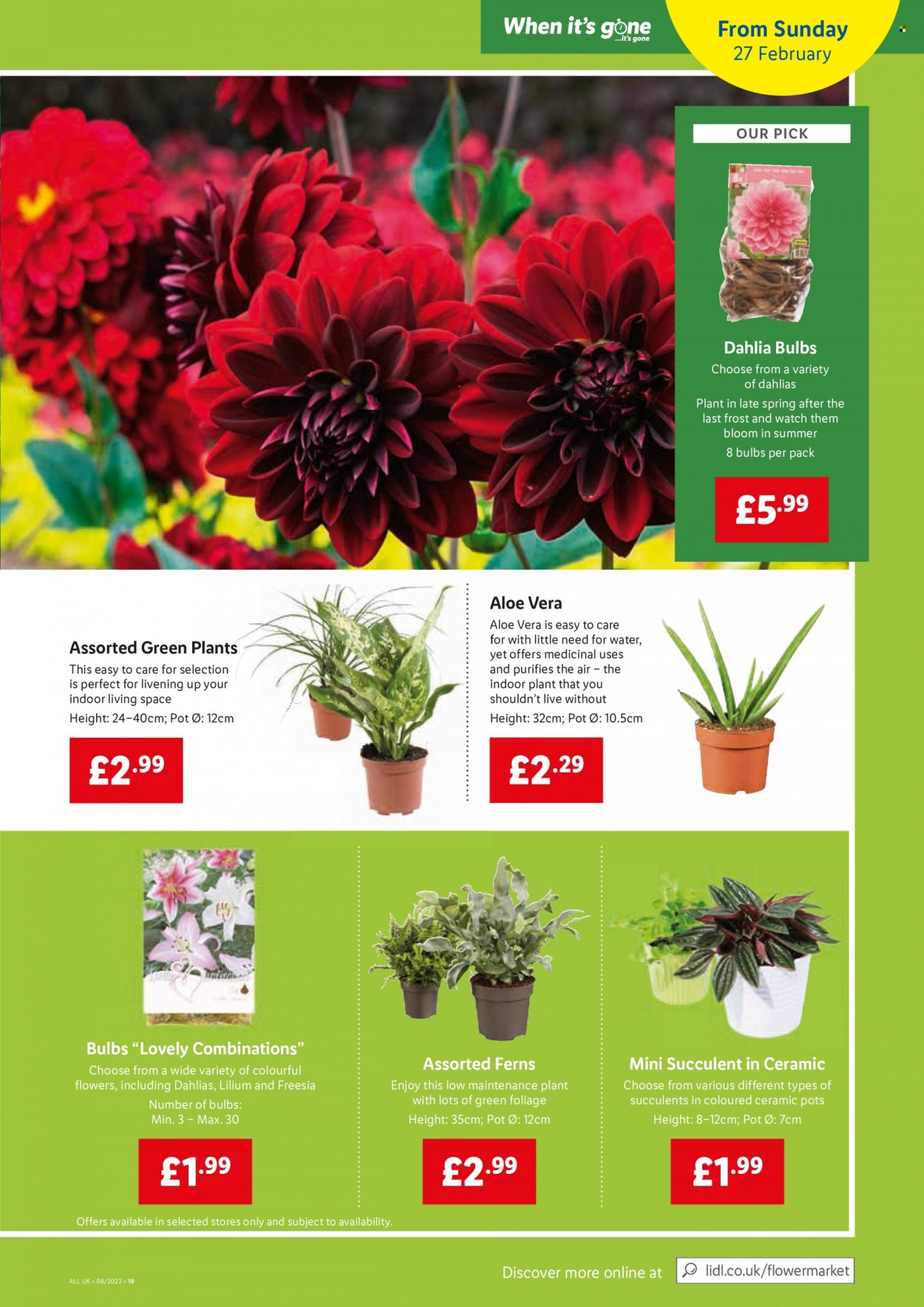 Lidl offer - 24/02/2022 - 02/03/2022. Page 17