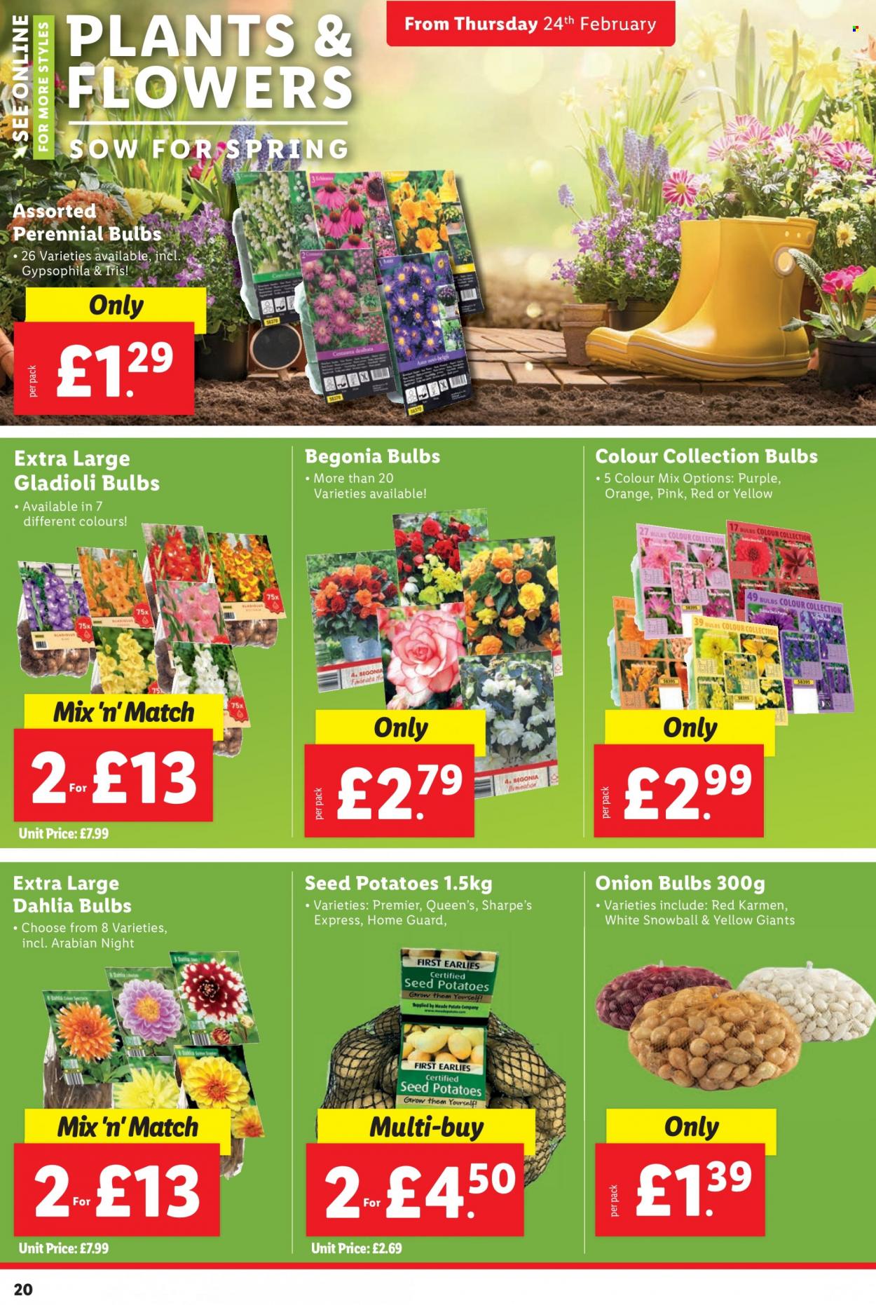 Lidl offer - 24/02/2022 - 02/03/2022. Page 20