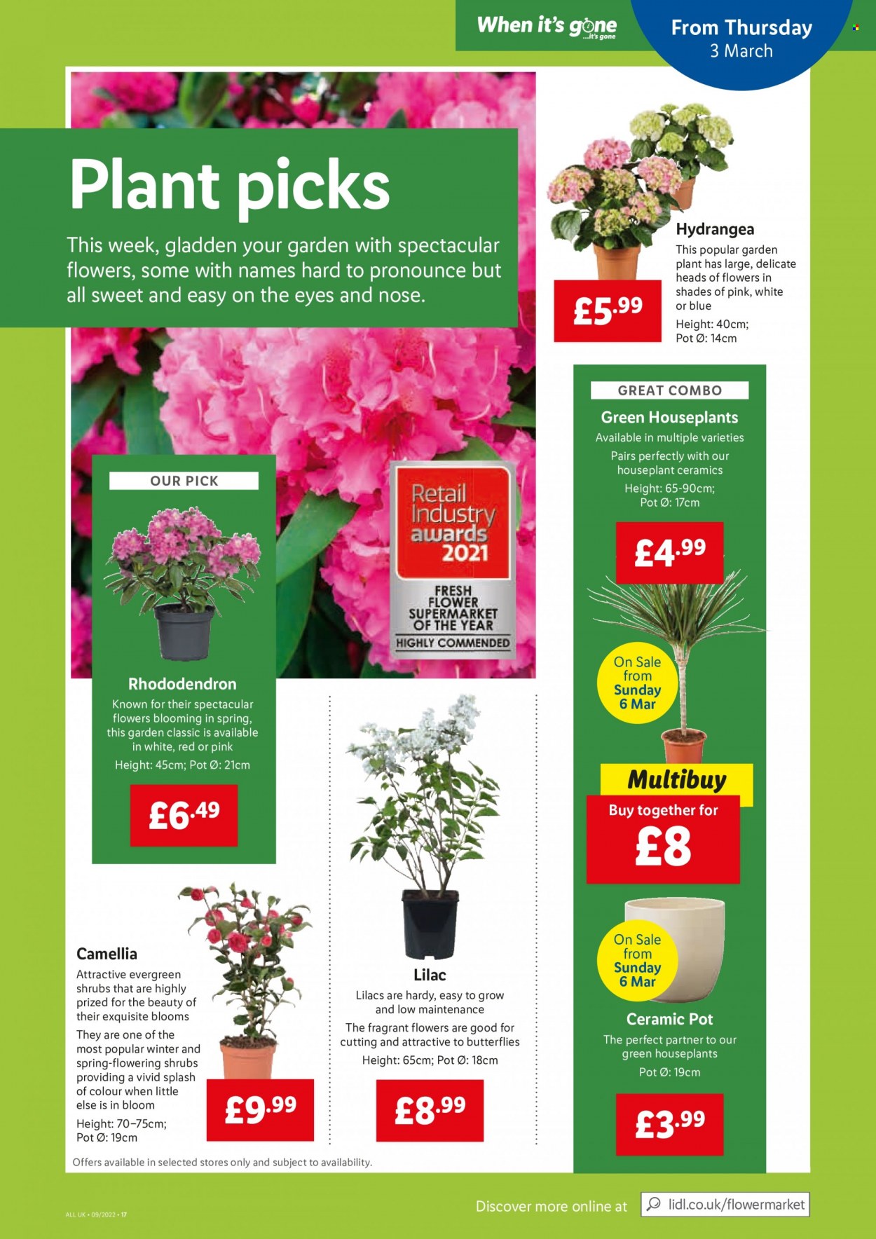 Lidl offer - 03/03/2022 - 09/03/2022. Page 15