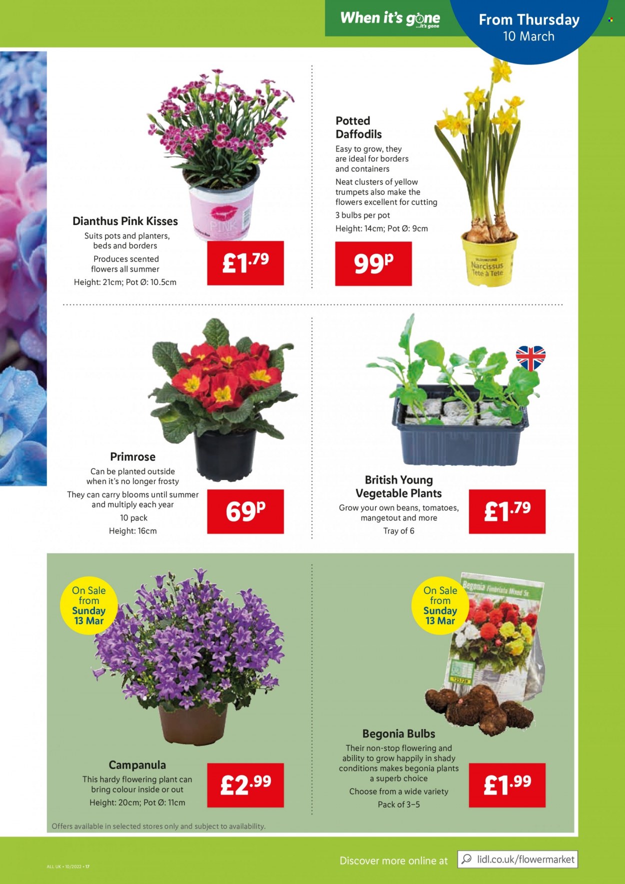 Lidl offer - 10/03/2022 - 16/03/2022. Page 15