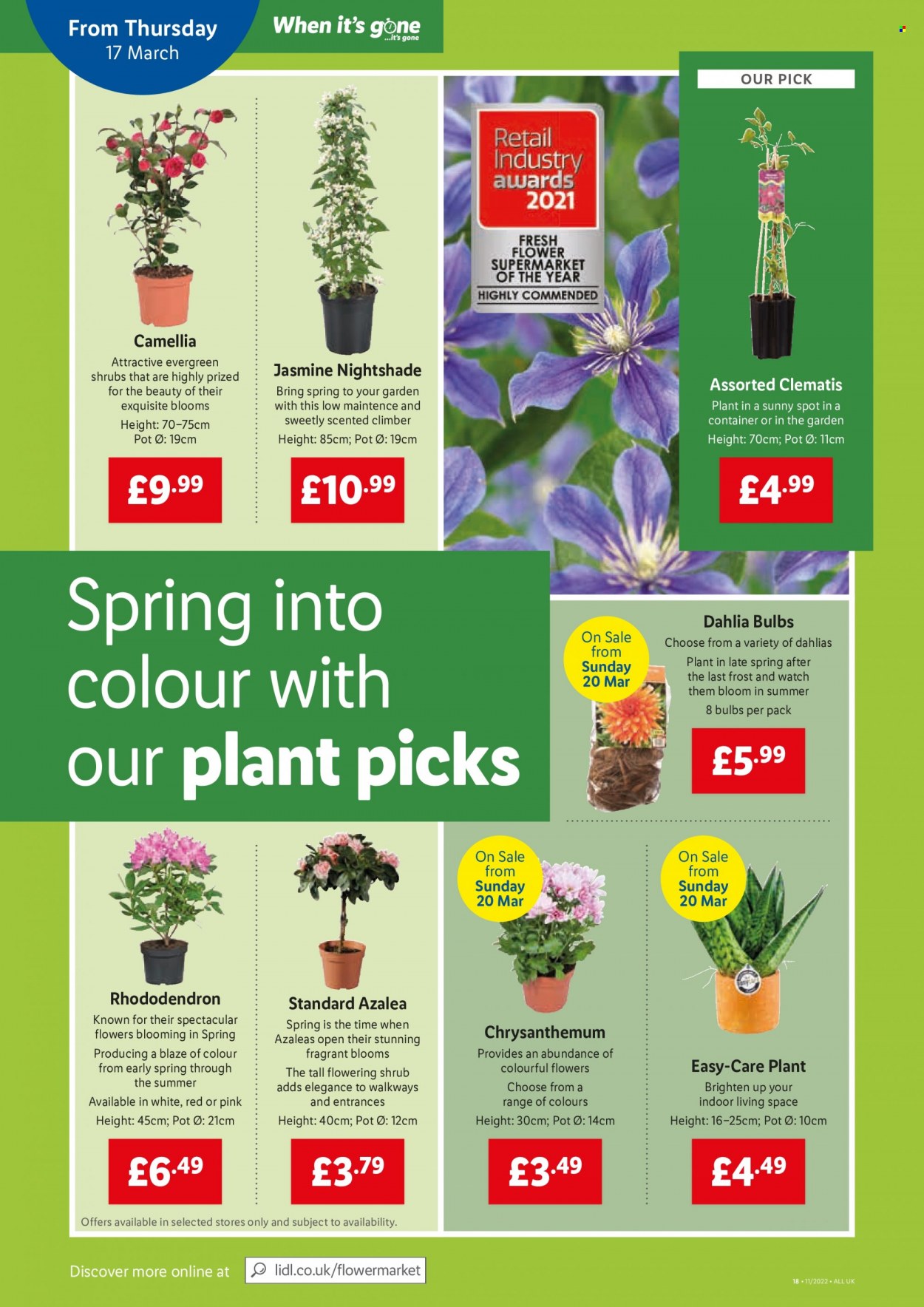 Lidl offer - 17/03/2022 - 23/03/2022. Page 16