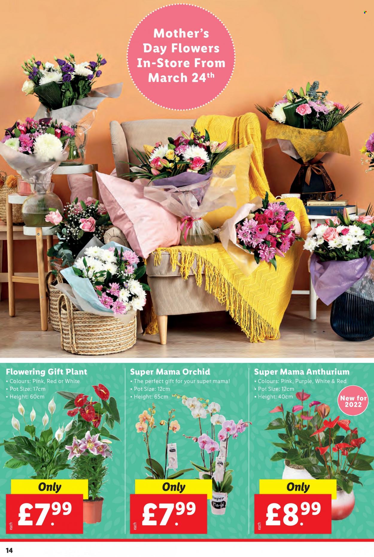 Lidl offer - 17/03/2022 - 23/03/2022. Page 14