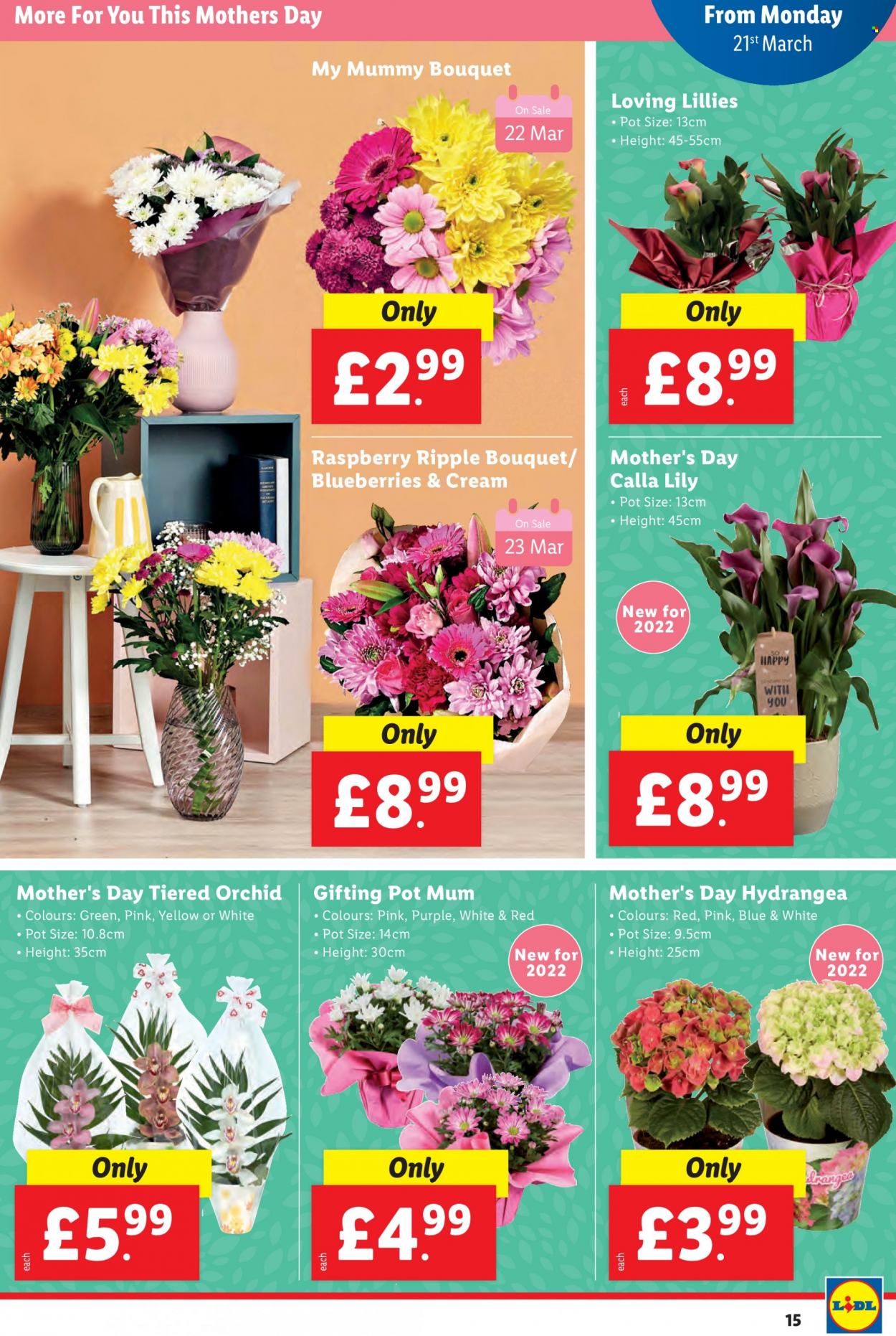 Lidl offer - 17/03/2022 - 23/03/2022. Page 15