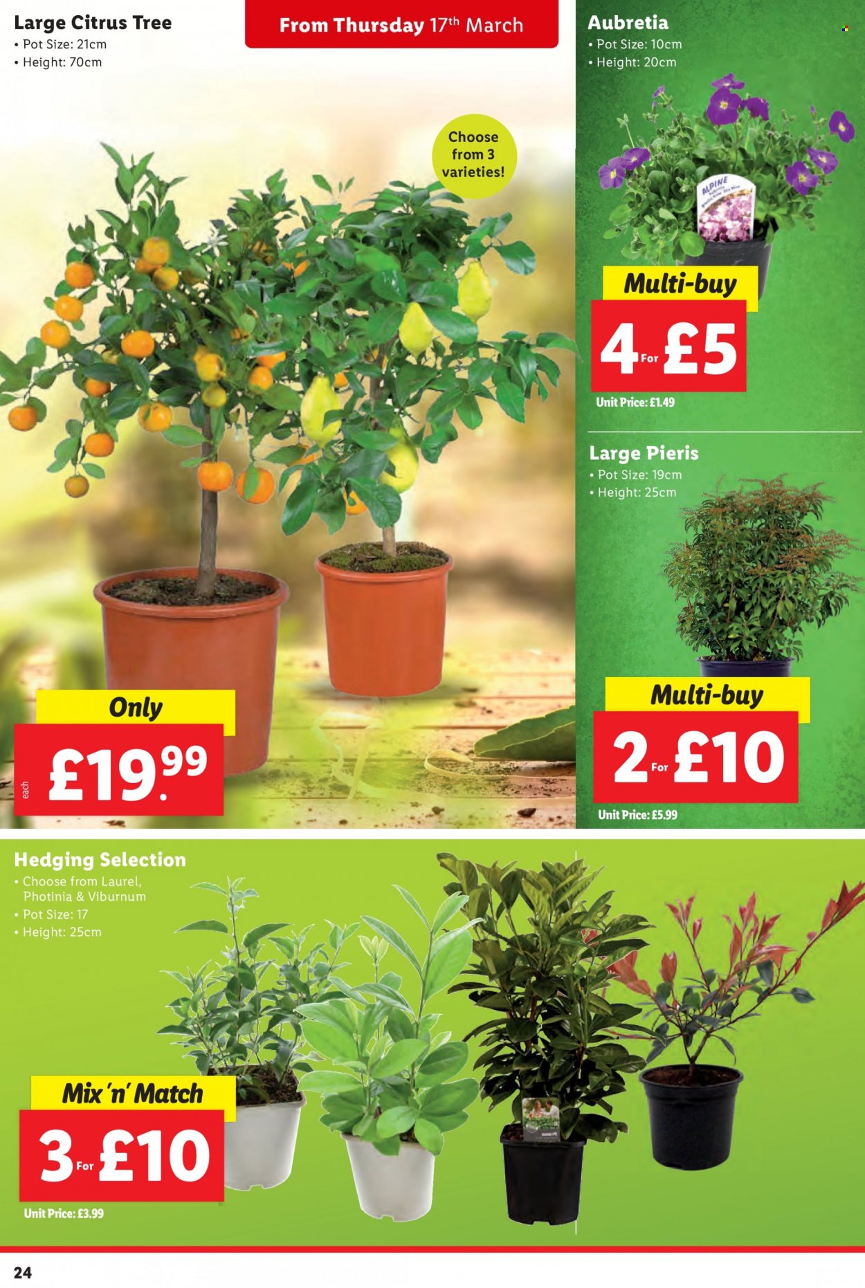 Lidl offer - 17/03/2022 - 23/03/2022. Page 24