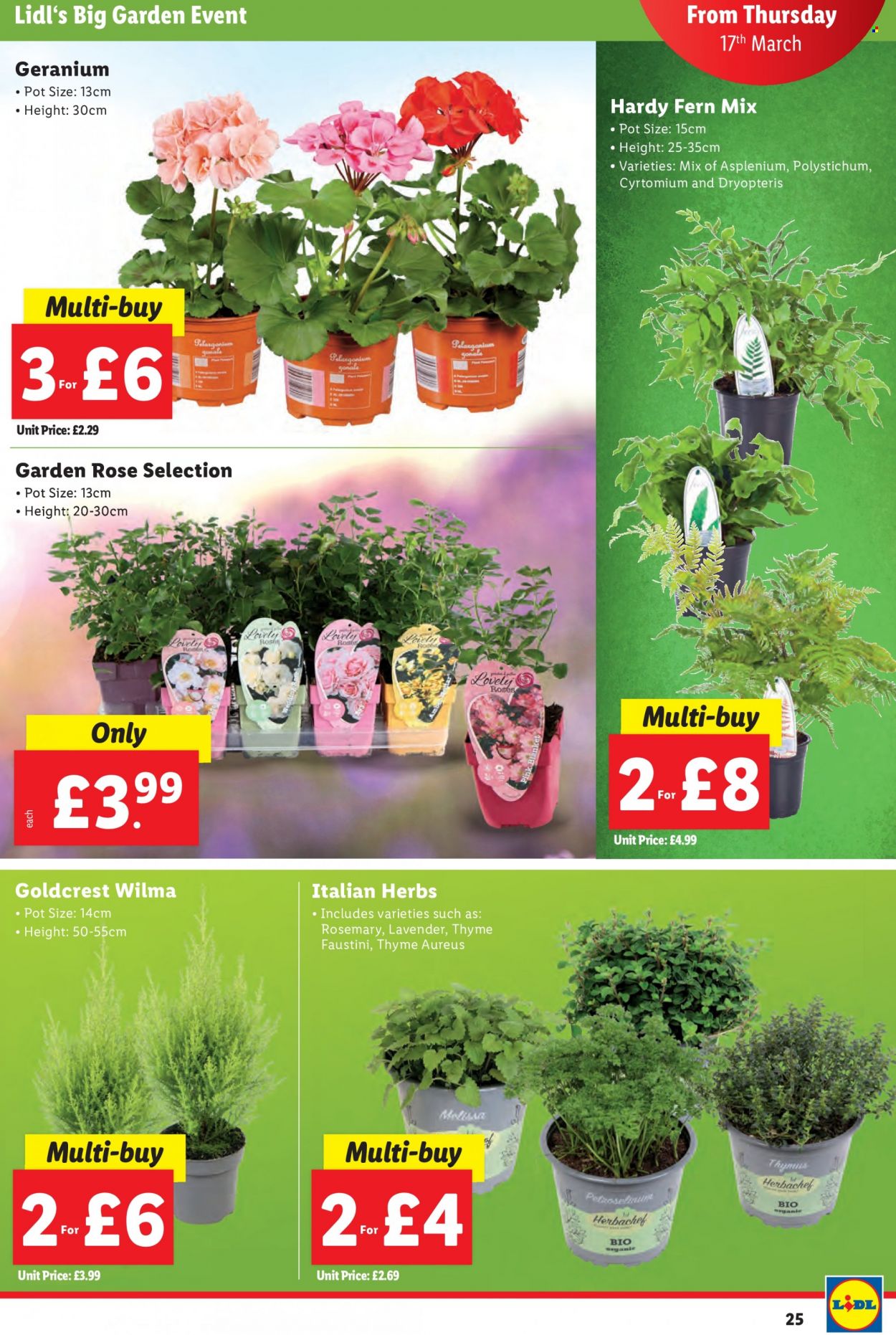 Lidl offer - 17/03/2022 - 23/03/2022. Page 25