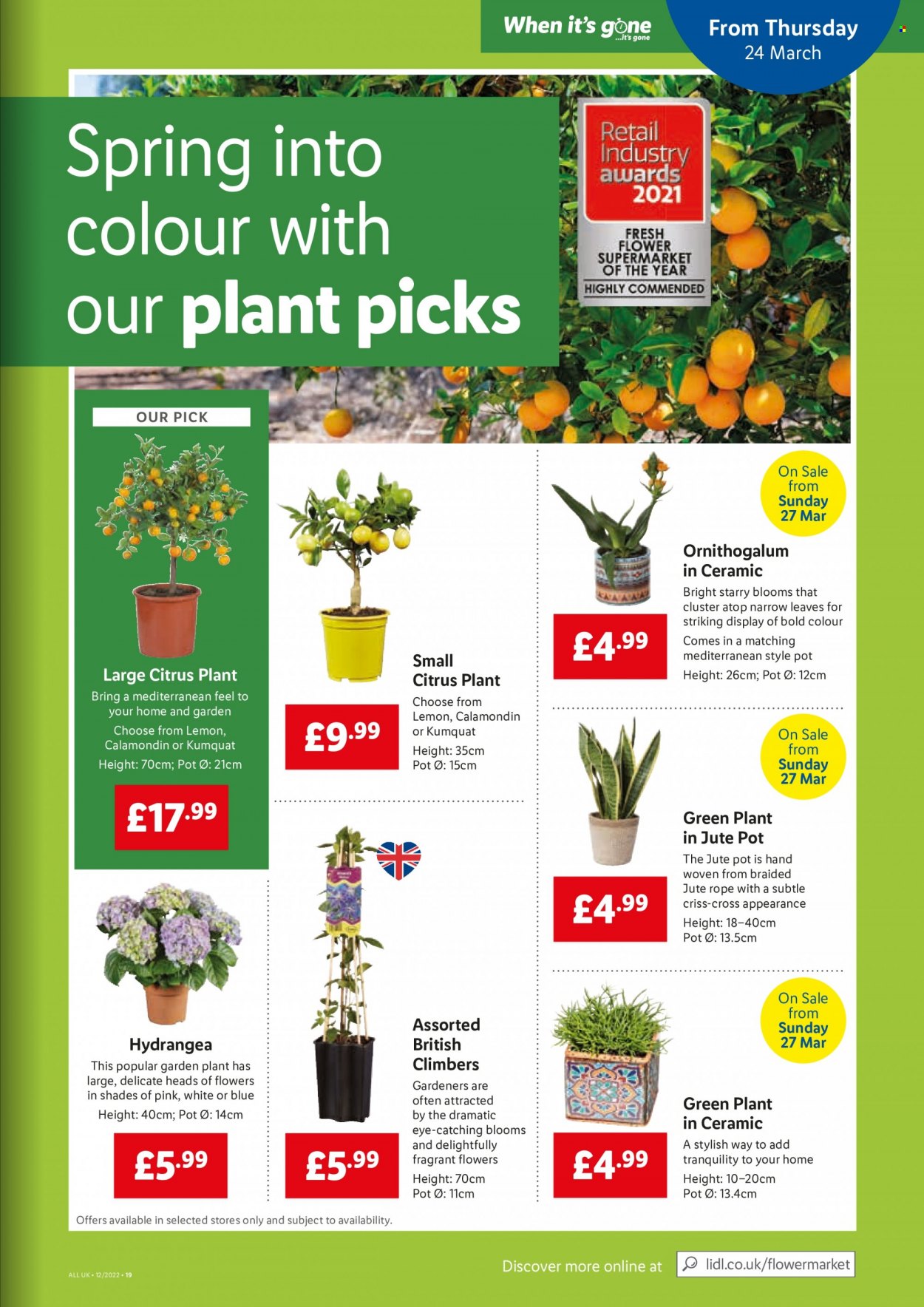 Lidl offer - 24/03/2022 - 30/03/2022. Page 19