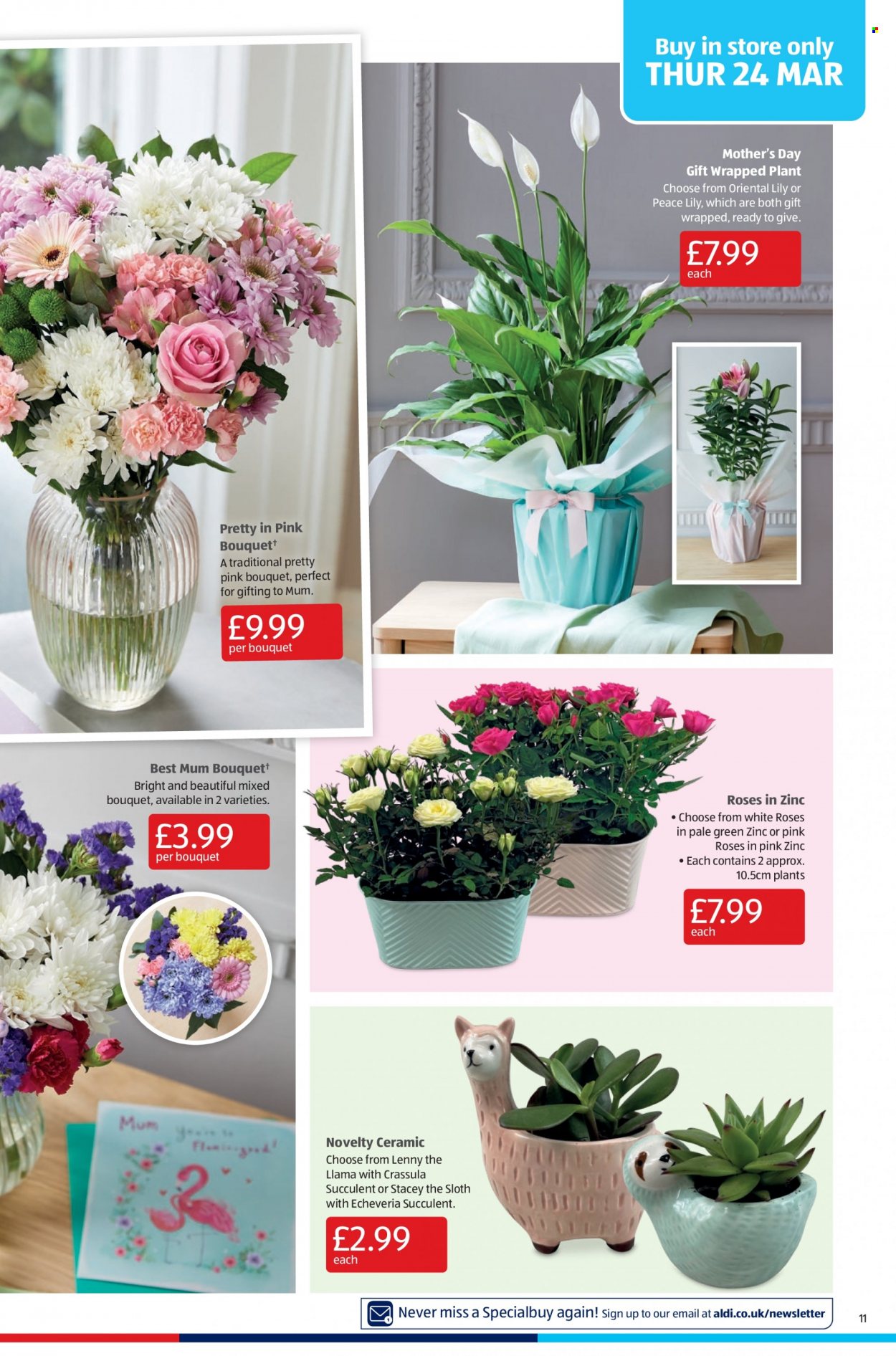 Aldi offer - 20/03/2022 - 27/03/2022. Page 11