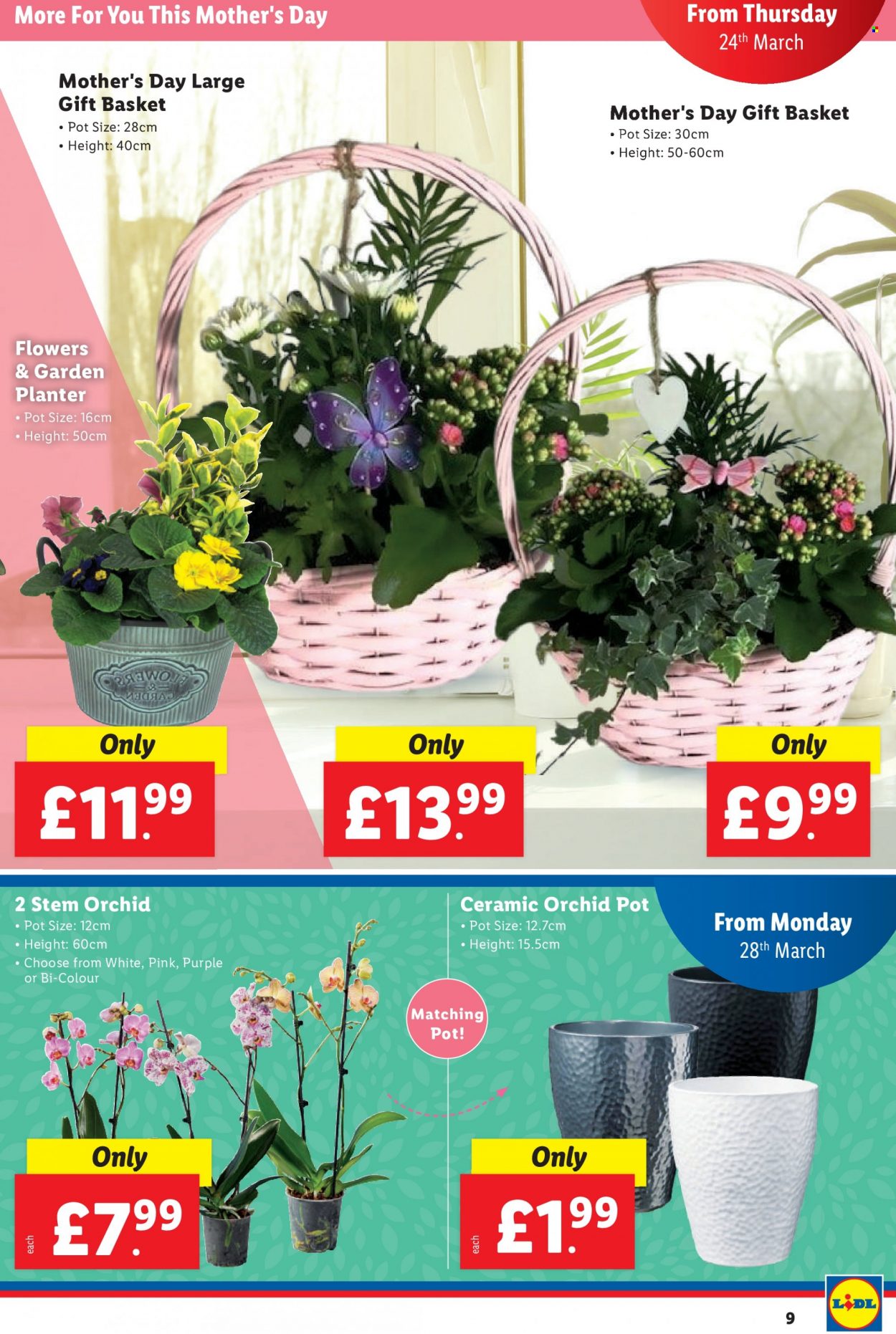 Lidl offer - 24/03/2022 - 30/03/2022. Page 9
