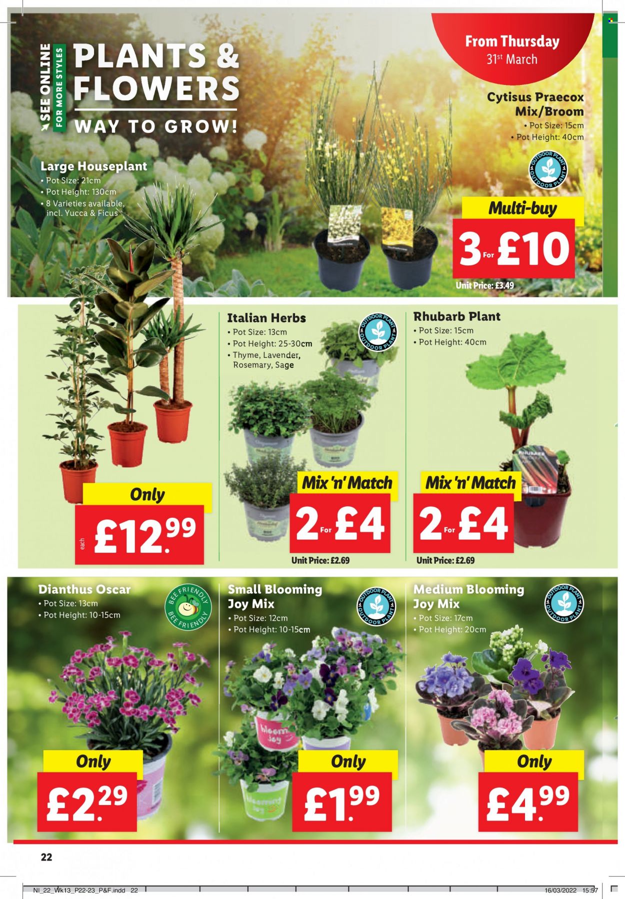 Lidl offer. Page 23