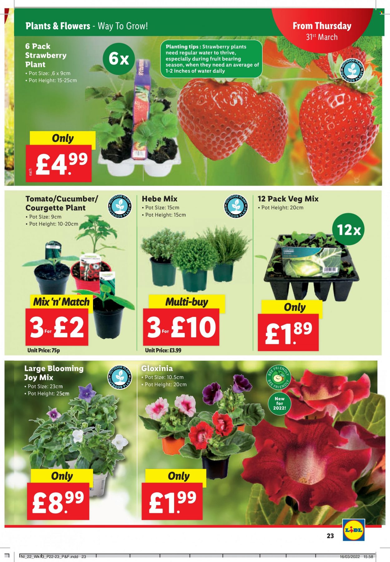 Lidl offer. Page 24