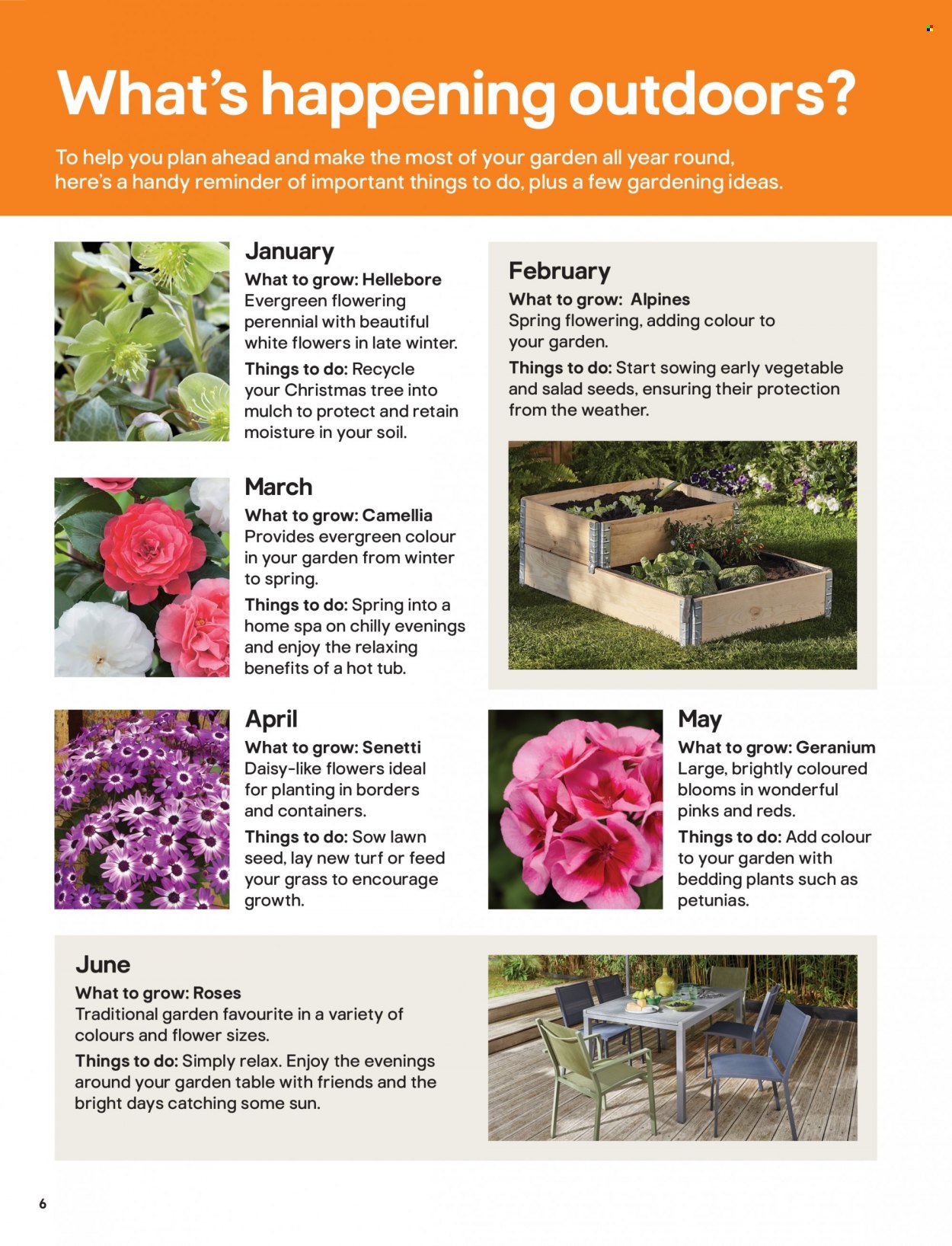 B&Q offer. Page 6