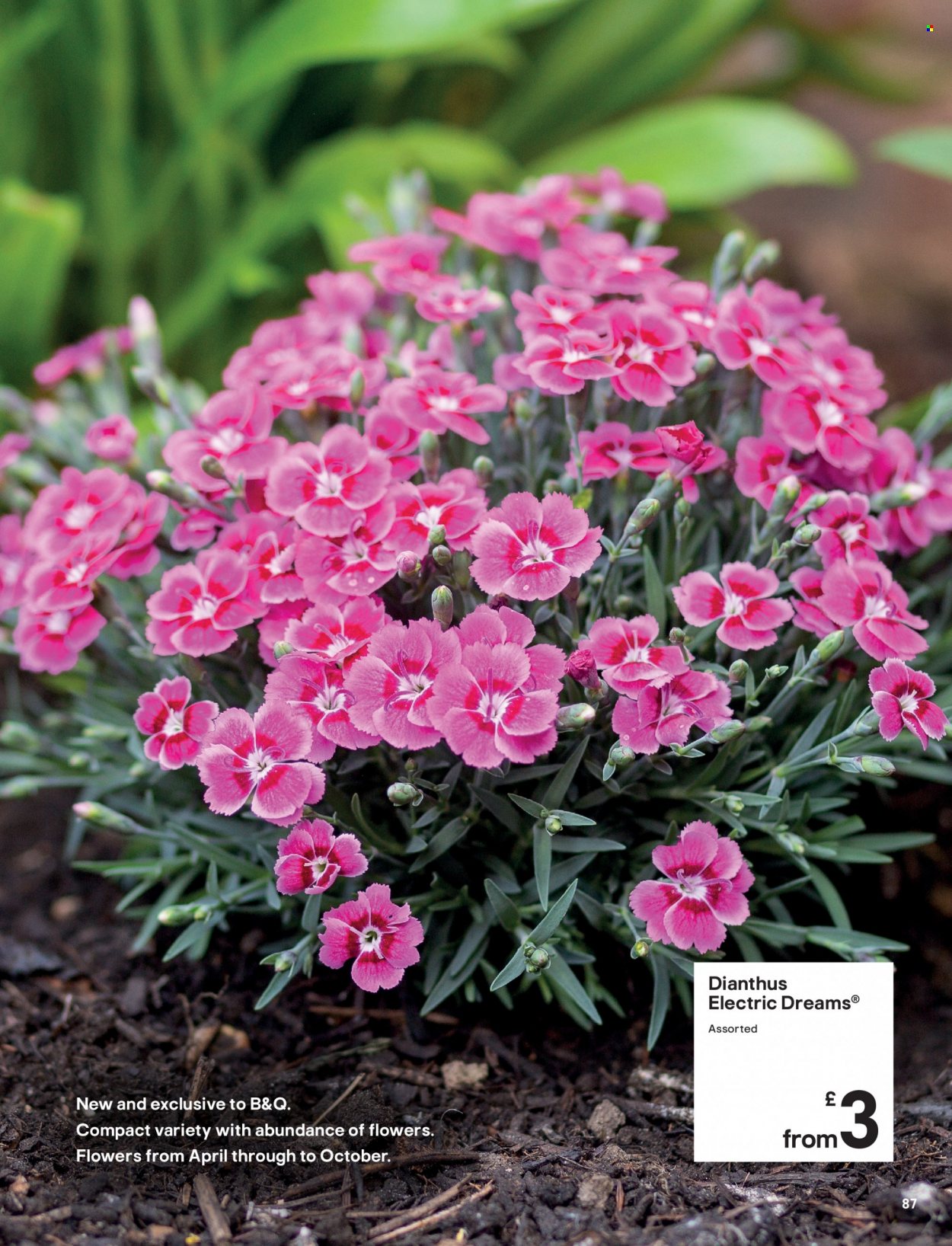B&Q offer. Page 87