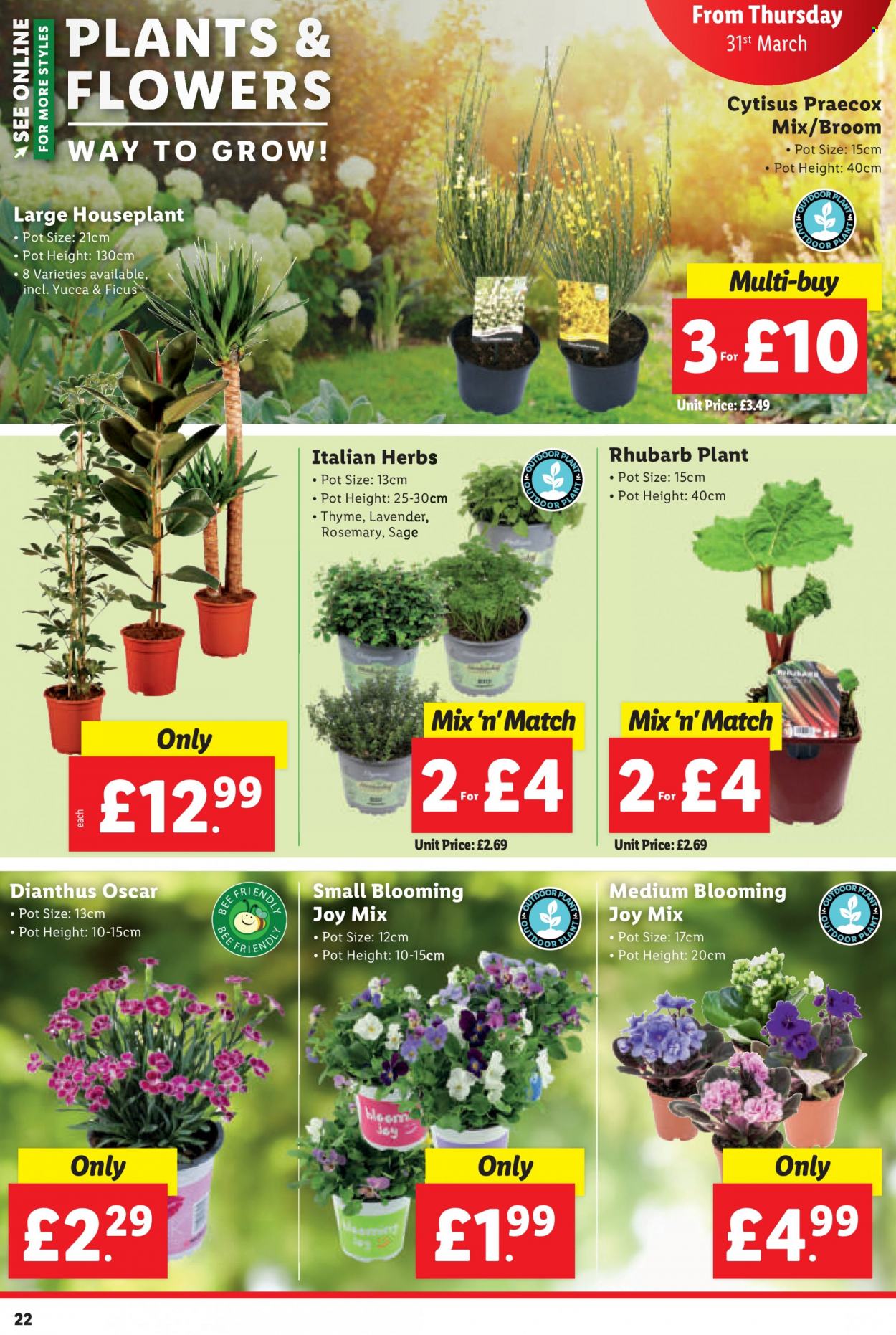 Lidl offer - 31/03/2022 - 06/04/2022. Page 23