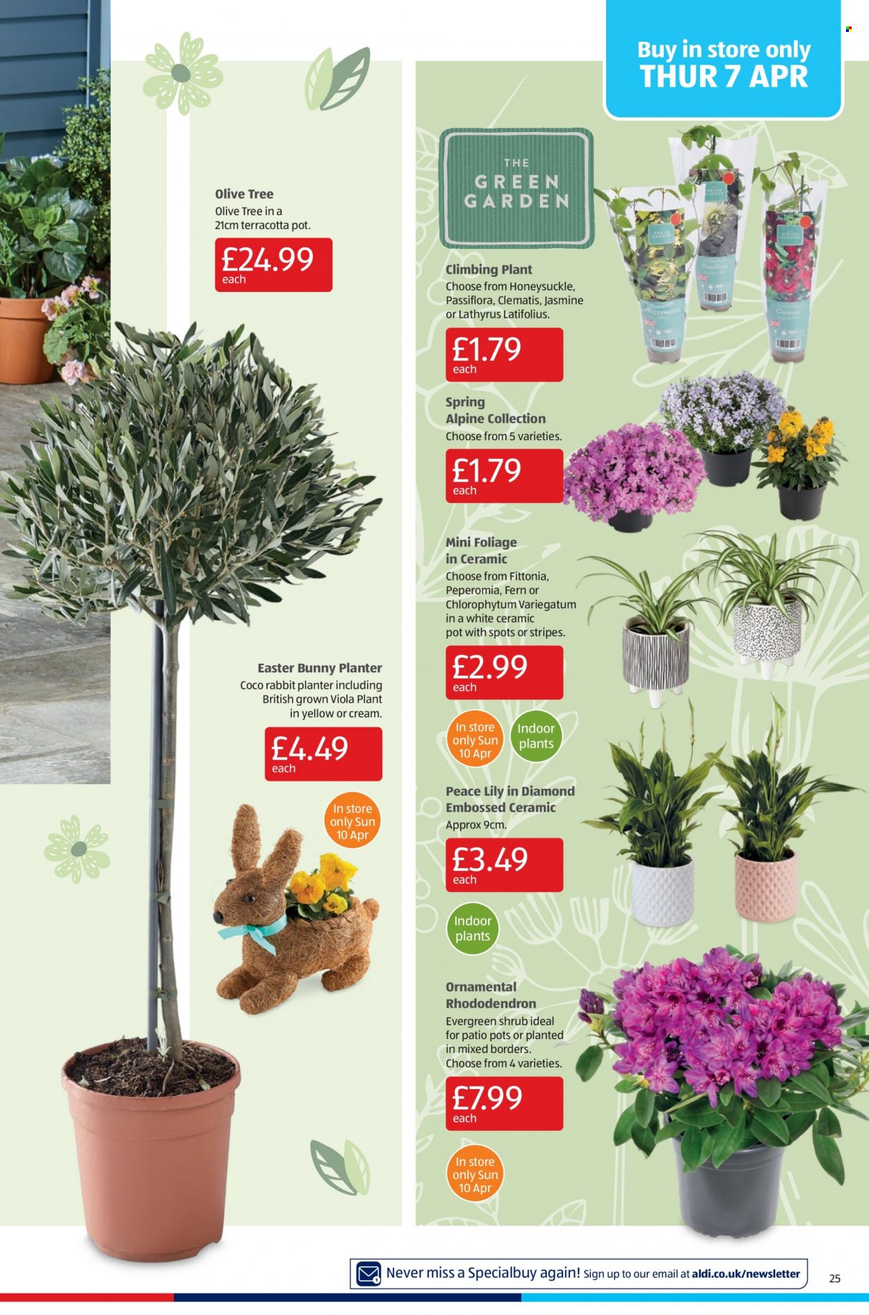 Aldi offer - 03/04/2022 - 10/04/2022. Page 25