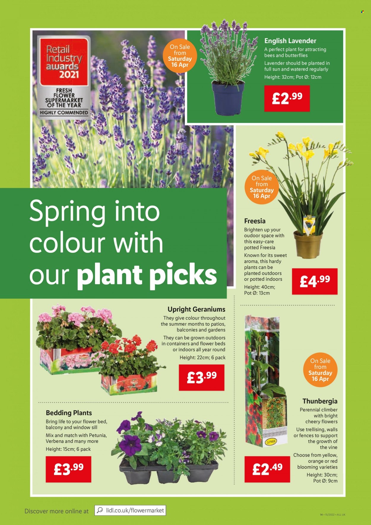 Lidl offer - 14/04/2022 - 20/04/2022. Page 6