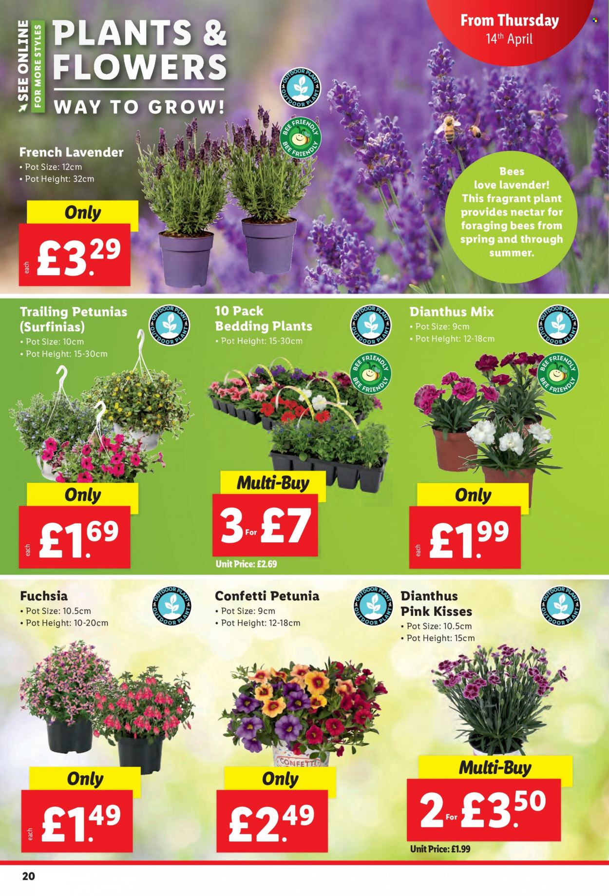 Lidl offer - 14/04/2022 - 20/04/2022. Page 20
