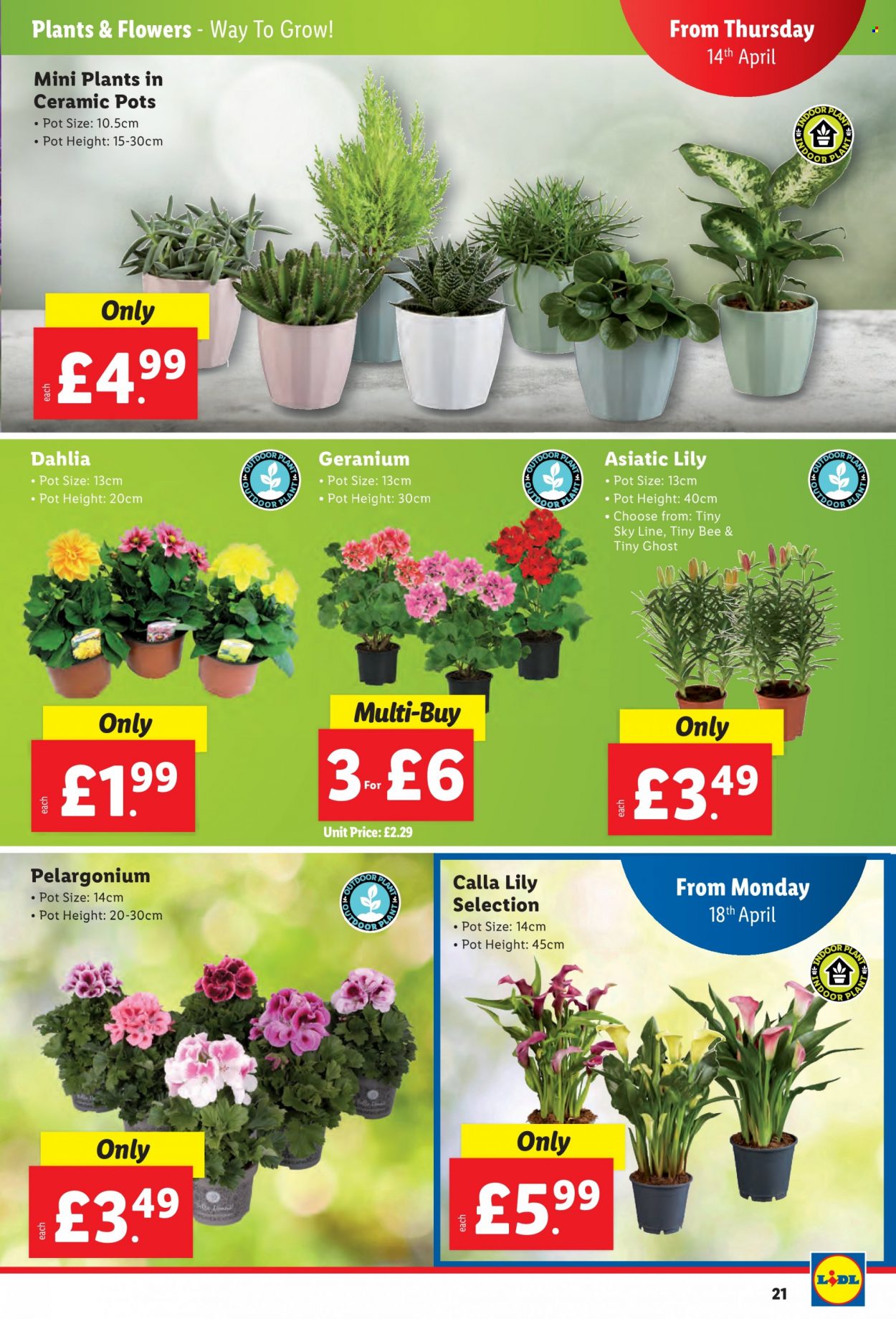 Lidl offer - 14/04/2022 - 20/04/2022. Page 21