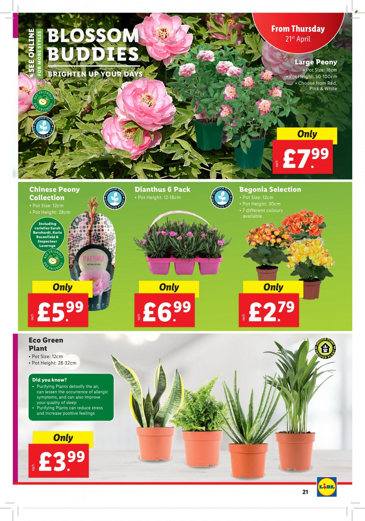 Lidl offer - 21/04/2022 - 27/04/2022. Page 21
