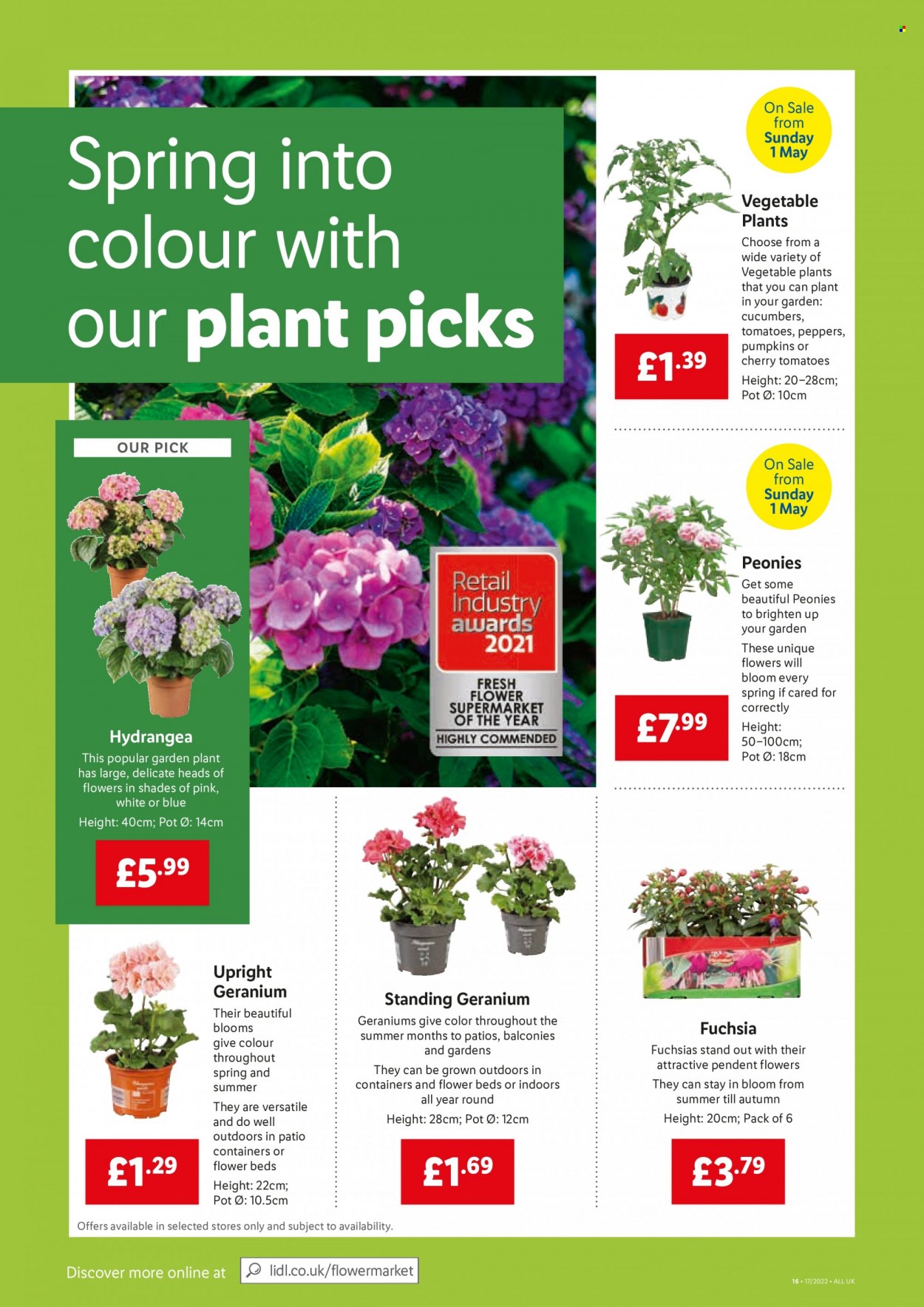 Lidl offer - 28/04/2022 - 04/05/2022. Page 16