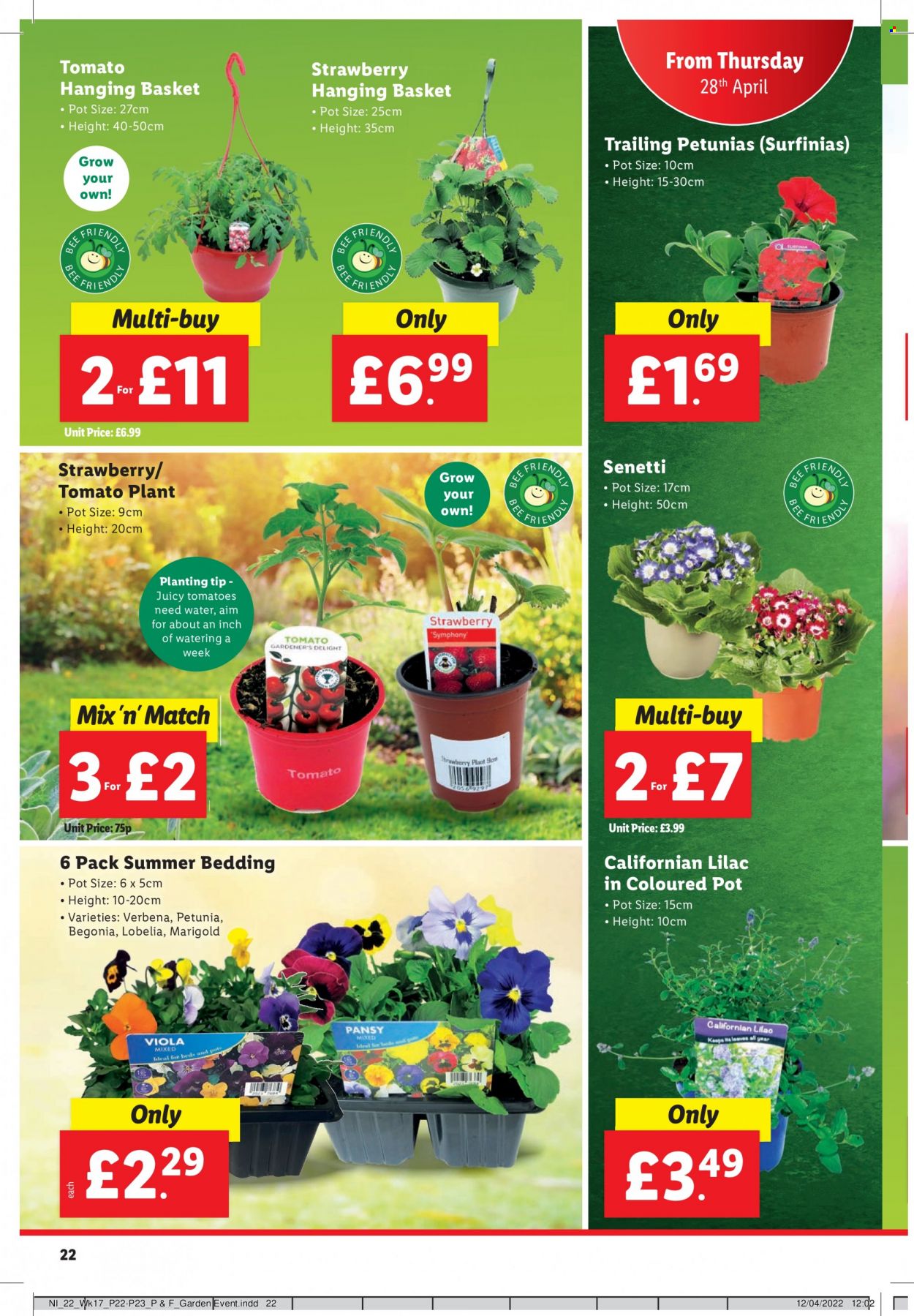 Lidl offer - 28/04/2022 - 04/05/2022. Page 22
