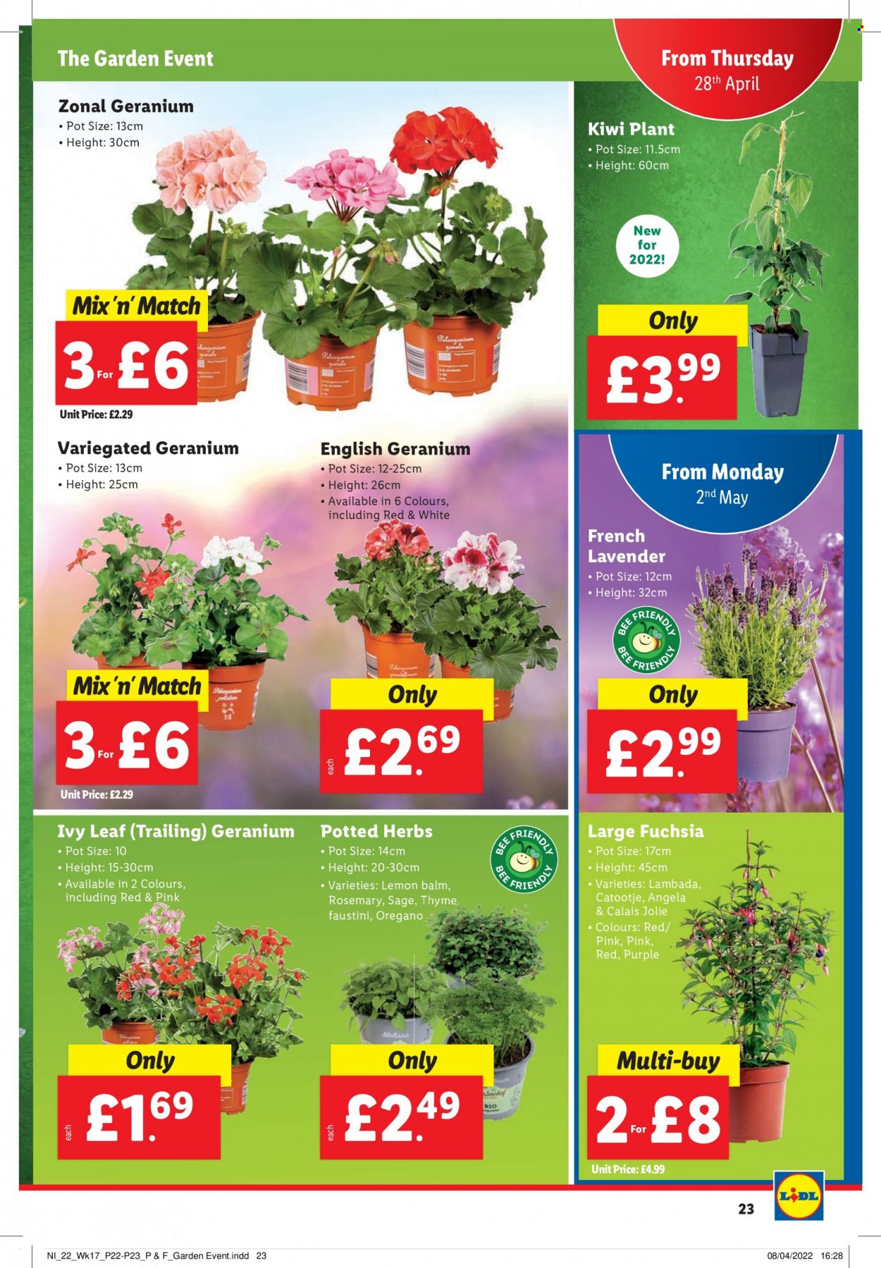 Lidl offer - 28/04/2022 - 04/05/2022. Page 23