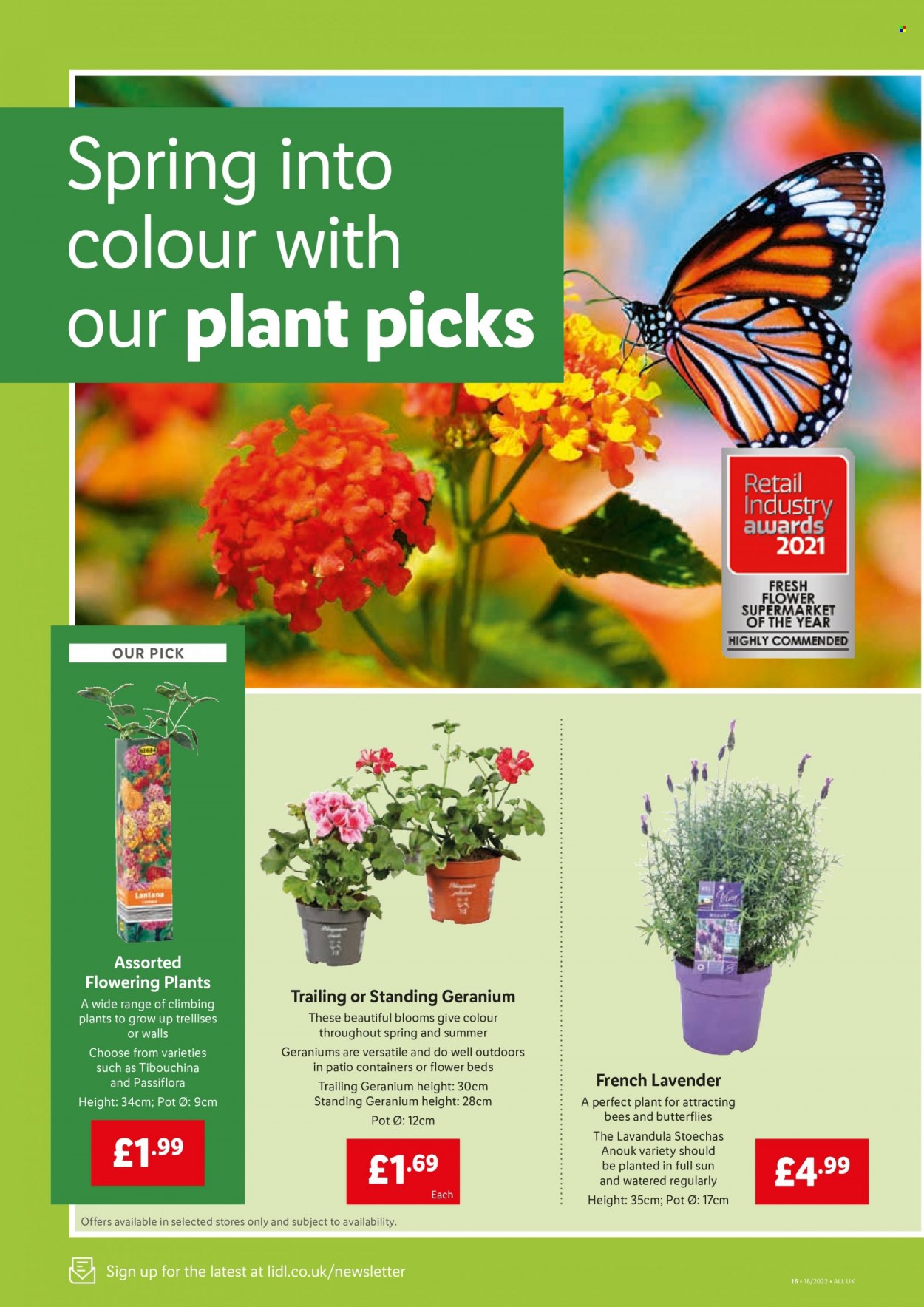 Lidl offer - 05/05/2022 - 11/05/2022. Page 14
