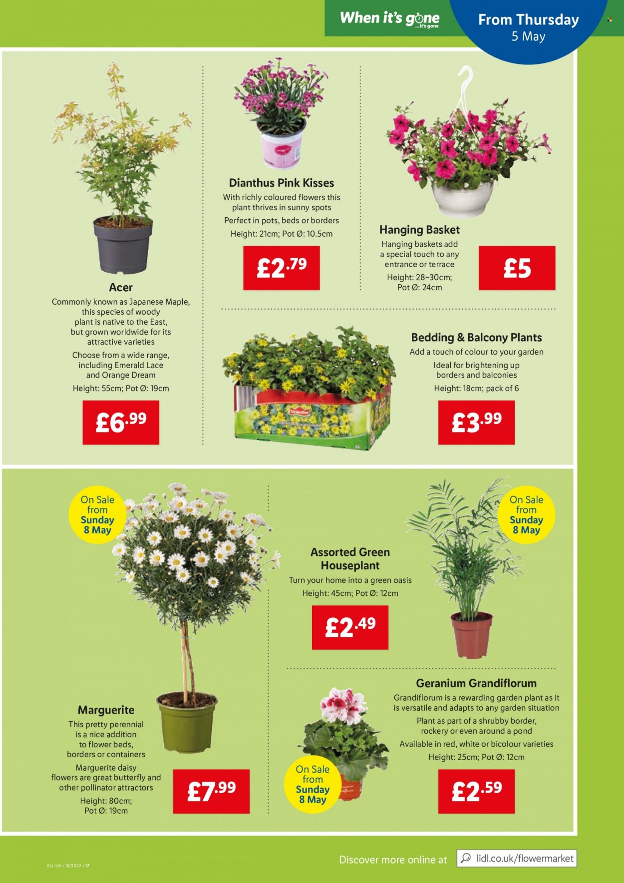 Lidl offer - 05/05/2022 - 11/05/2022. Page 15