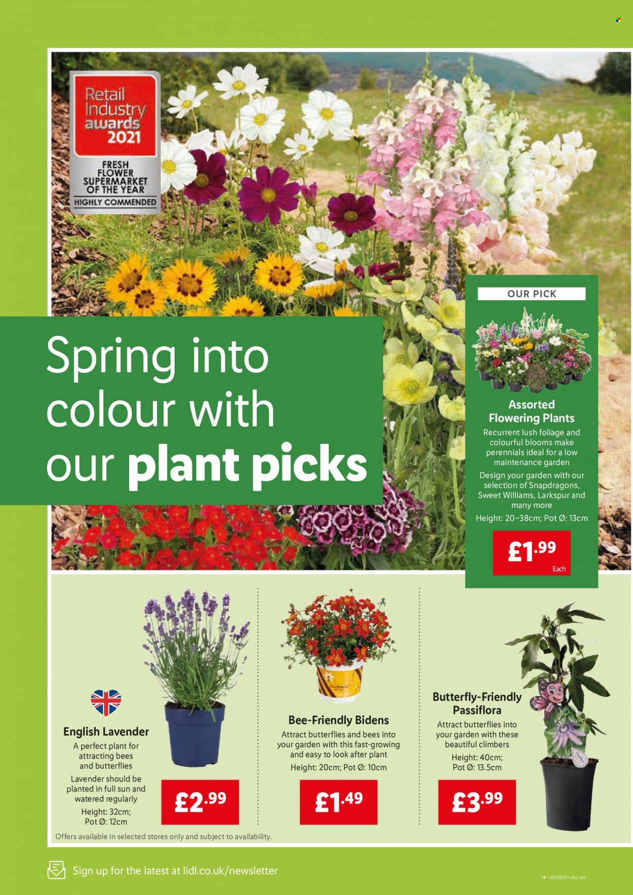 thumbnail - Lidl offer  - 19/05/2022 - 25/05/2022 - Sales products - pot. Page 14.