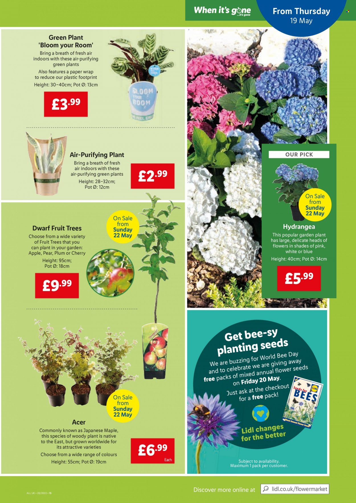 thumbnail - Lidl offer  - 19/05/2022 - 25/05/2022 - Sales products - pears, eel, pot, paper, fruit tree. Page 15.