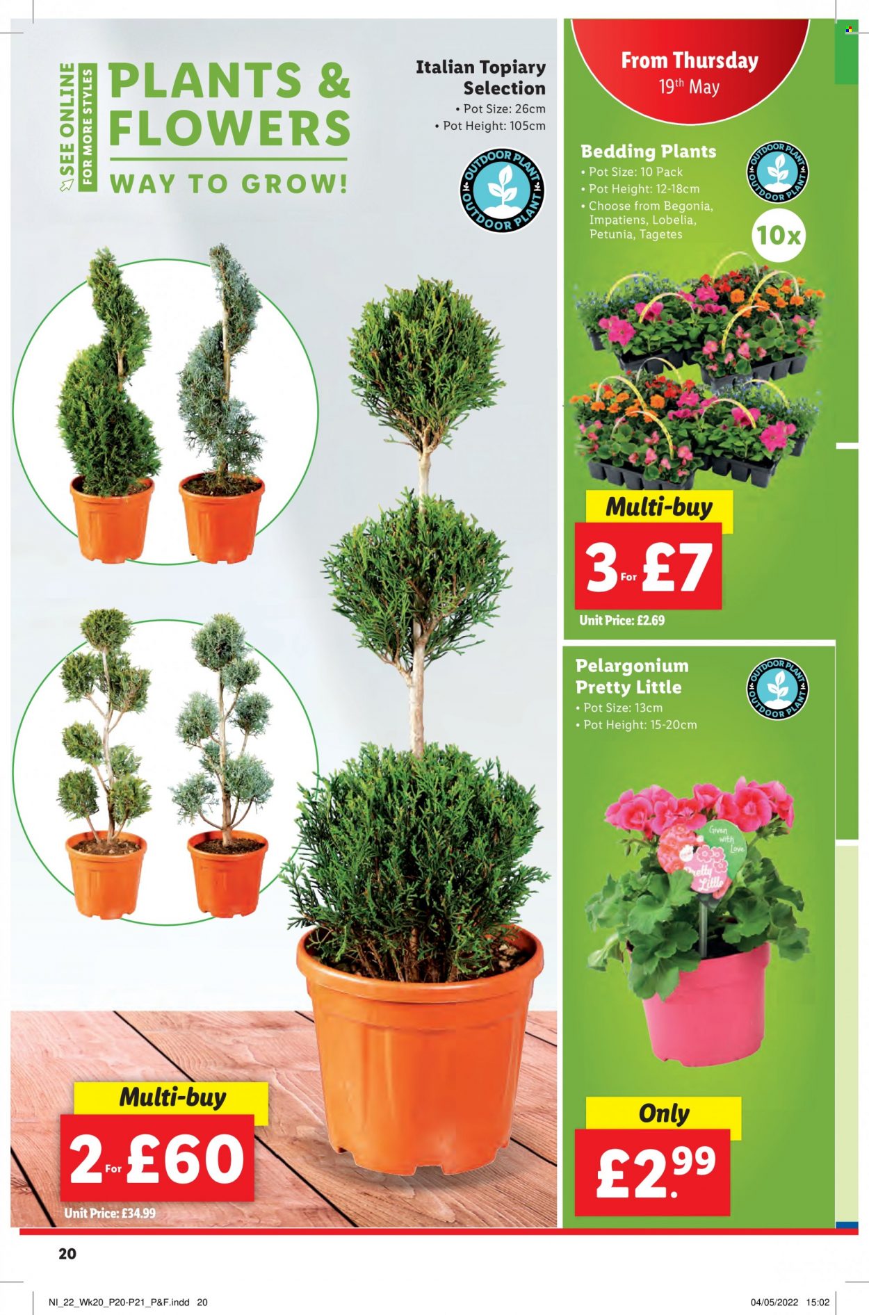 thumbnail - Lidl offer  - 19/05/2022 - 25/05/2022 - Sales products - pot, bedding, begonia. Page 20.