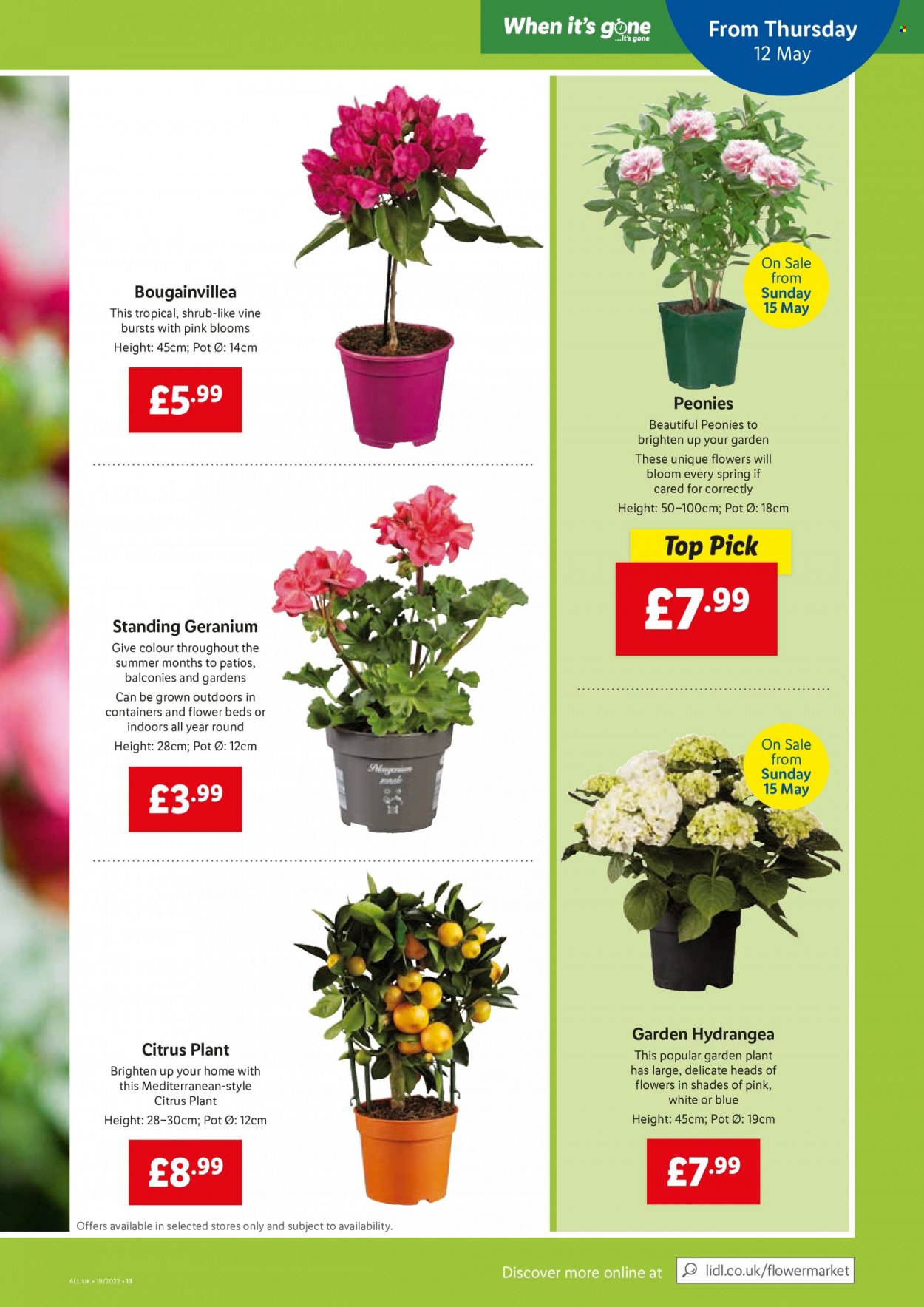 Lidl offer - 12/05/2022 - 18/05/2022. Page 11