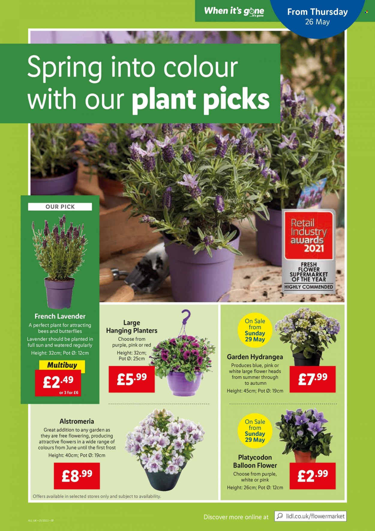 Lidl offer - 26/05/2022 - 01/06/2022. Page 13
