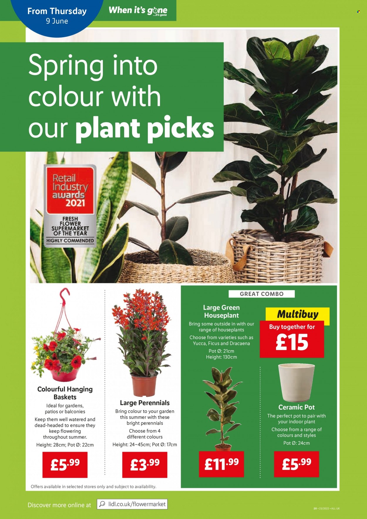 Lidl offer - 09/06/2022 - 15/06/2022. Page 16
