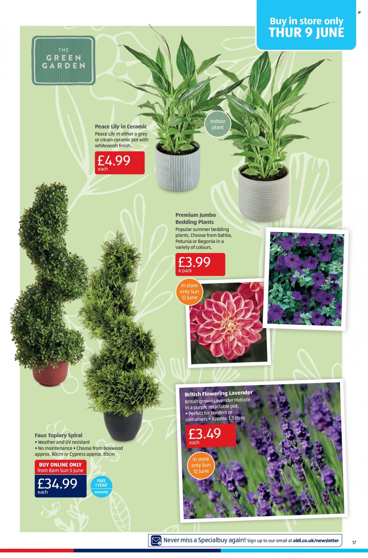 Aldi offer - 05/06/2022 - 12/06/2022. Page 17