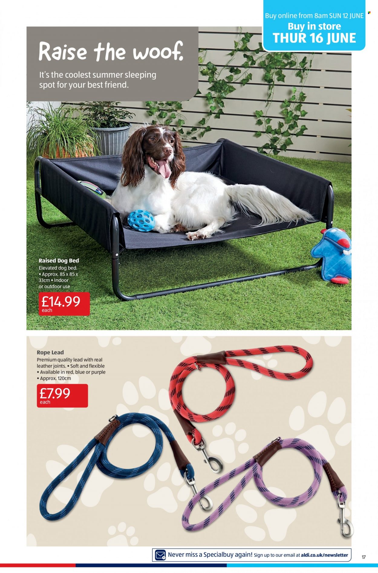 Aldi offer - 12/06/2022 - 19/06/2022. Page 17