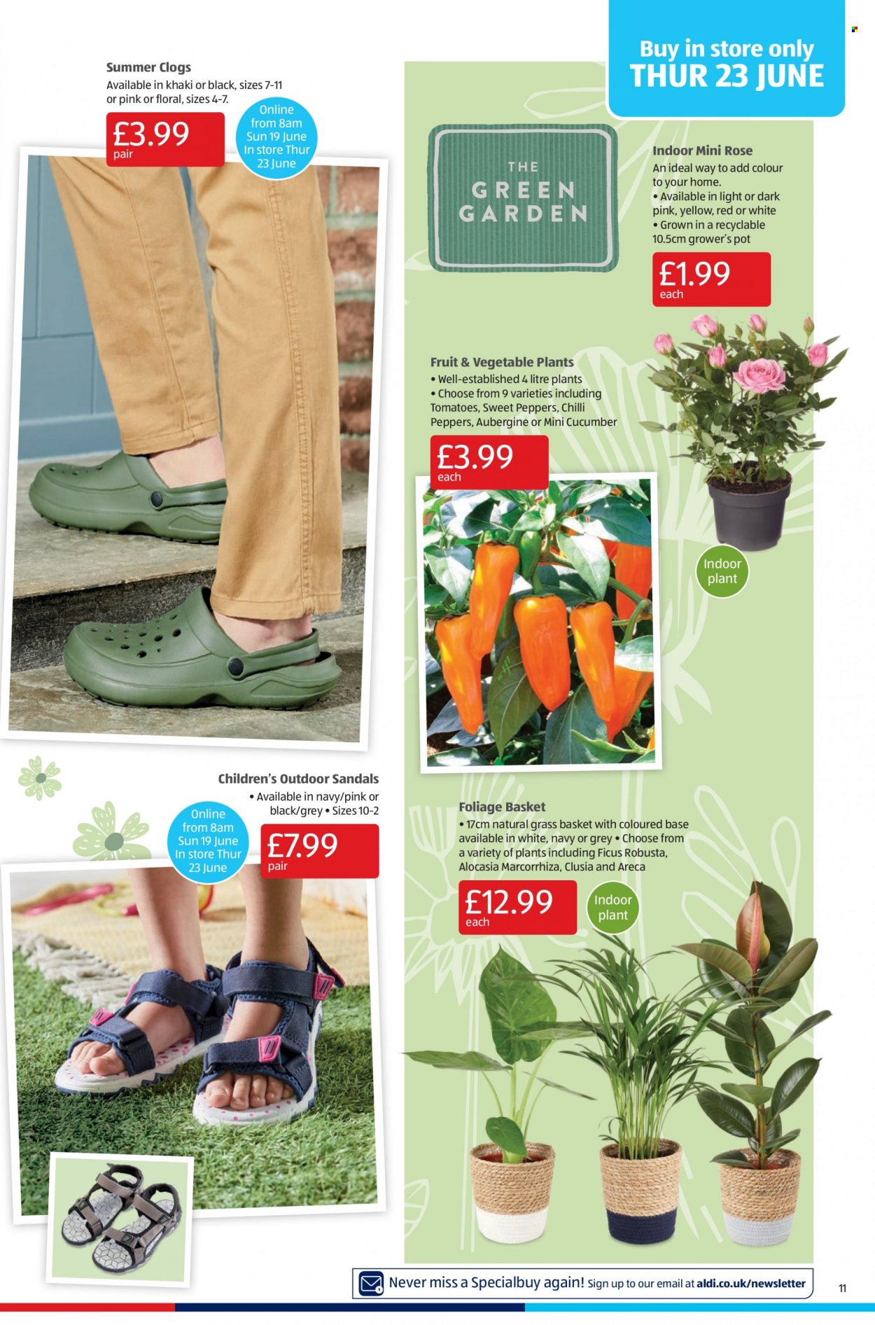 Aldi offer - 19/06/2022 - 26/06/2022. Page 11