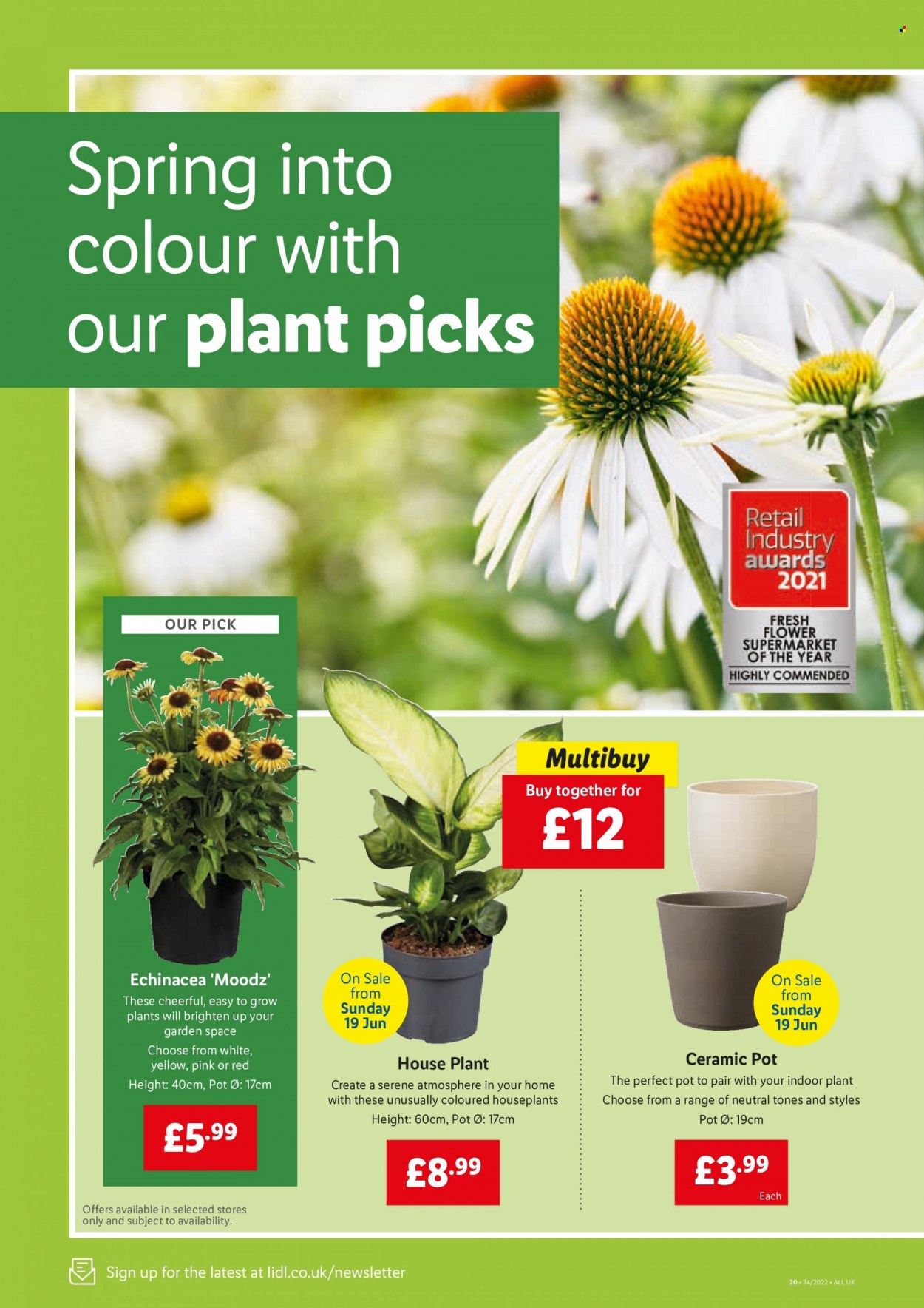 Lidl offer - 16/06/2022 - 22/06/2022. Page 18