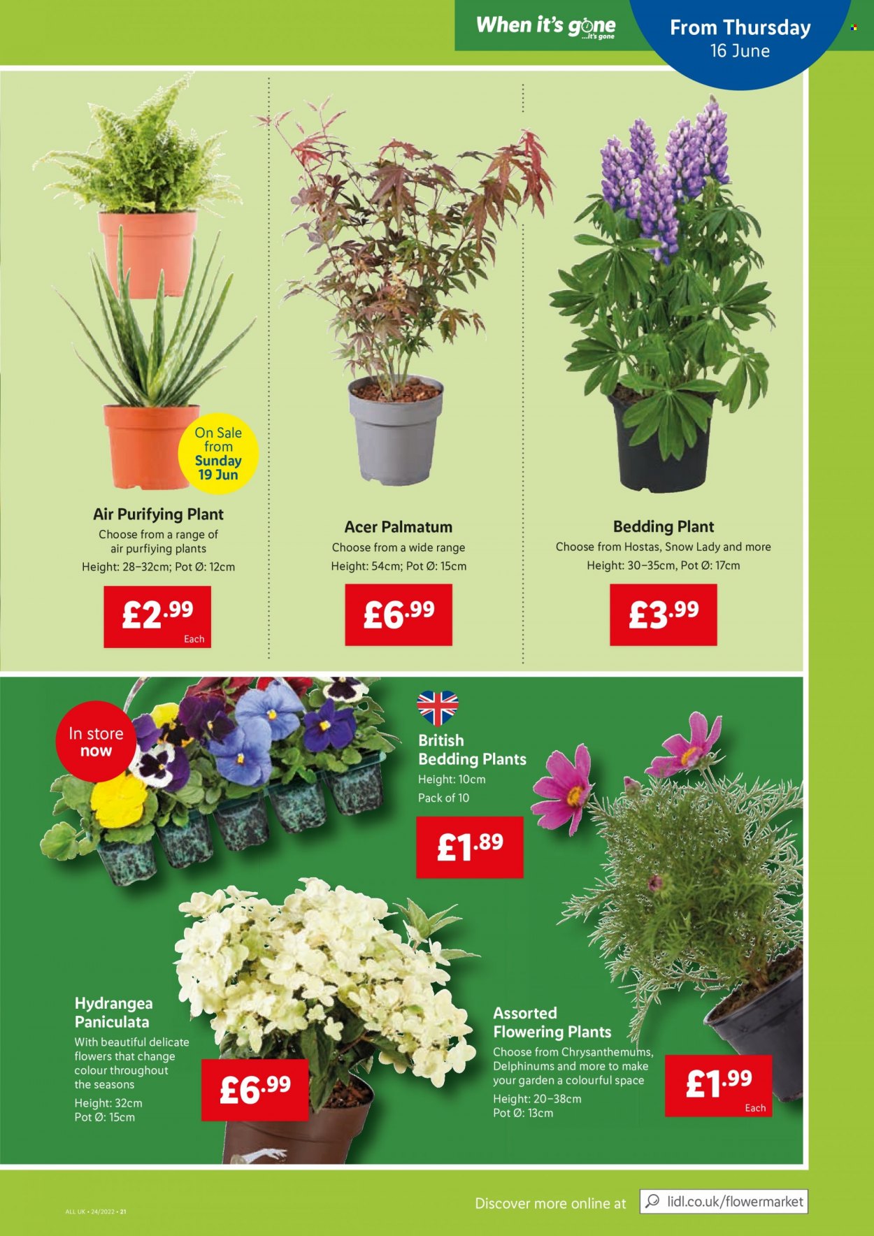 Lidl offer - 16/06/2022 - 22/06/2022. Page 19