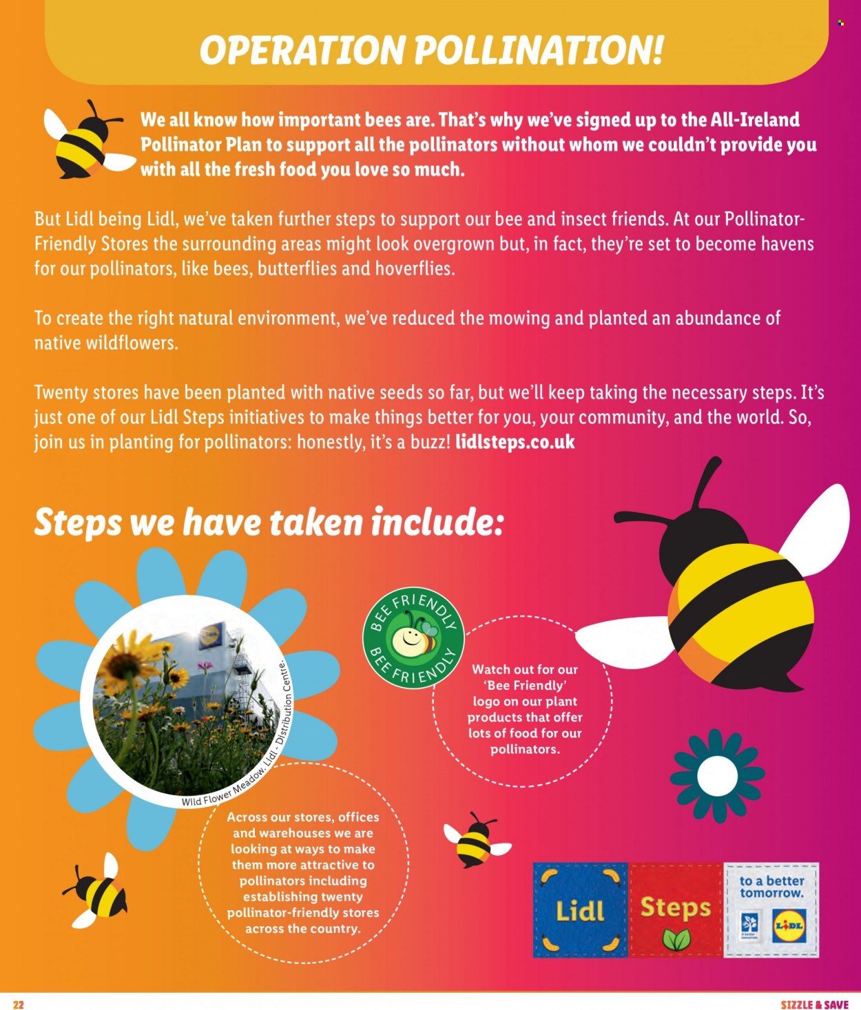 Lidl offer. Page 22