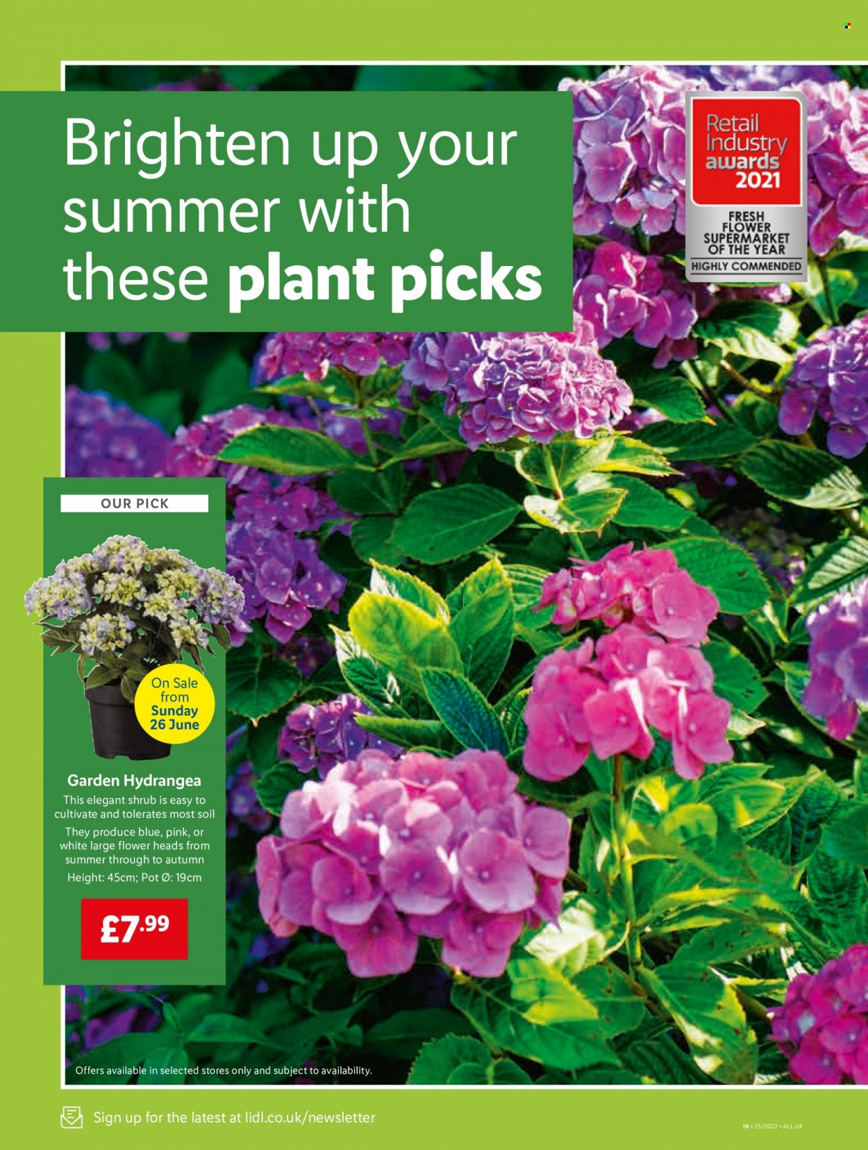 Lidl offer - 23/06/2022 - 29/06/2022. Page 14