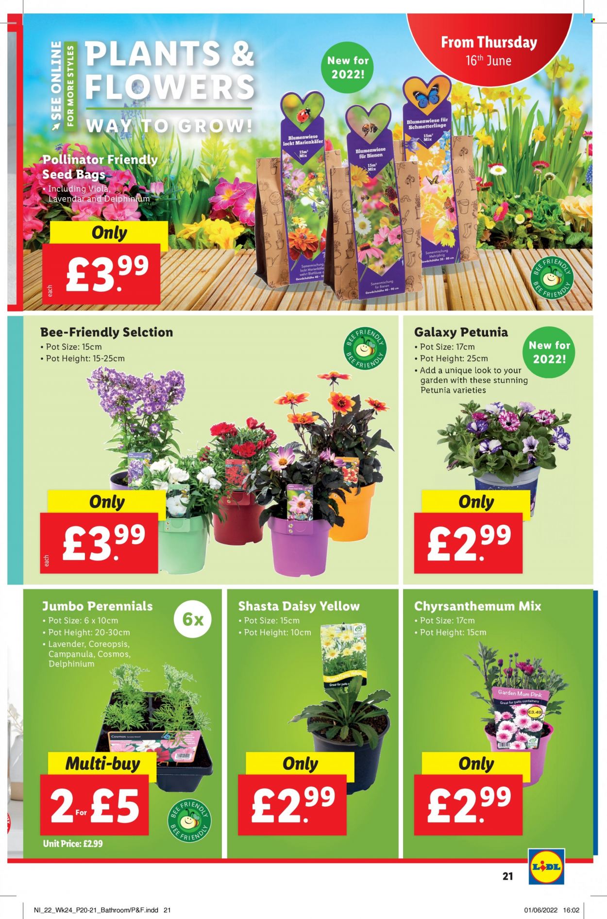Lidl offer - 16/06/2022 - 22/06/2022. Page 21