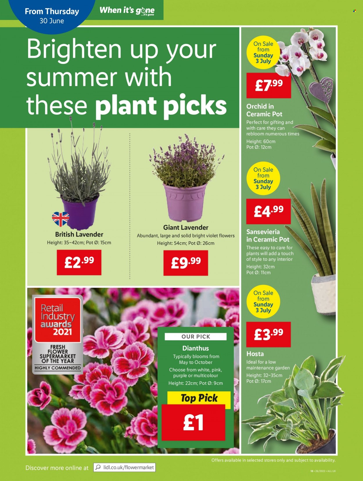 Lidl offer - 30/06/2022 - 06/07/2022. Page 18